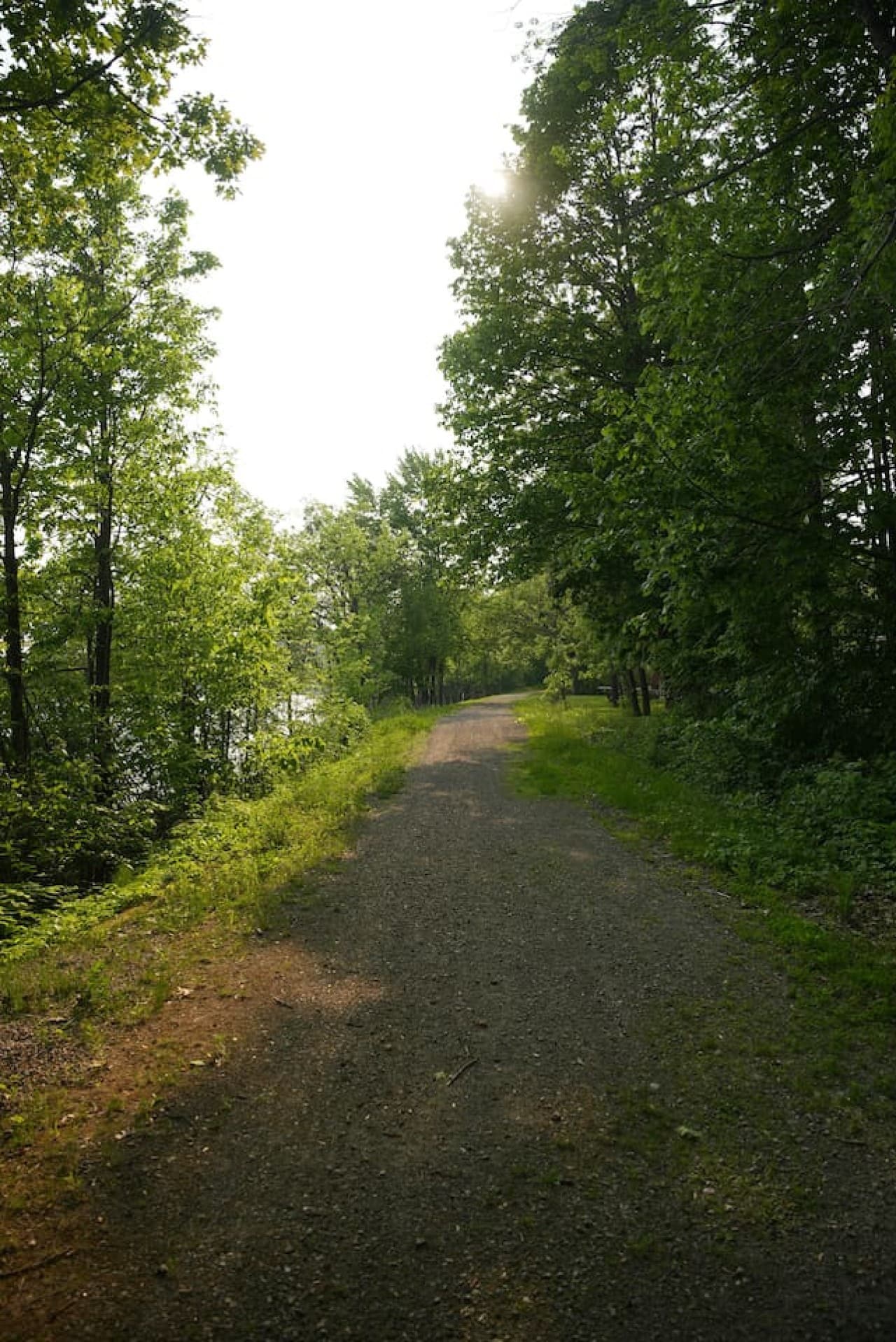 Gallery Image 18