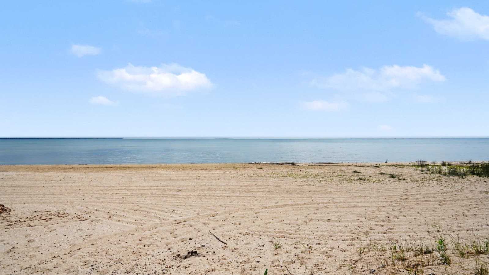 file_2944.jpg