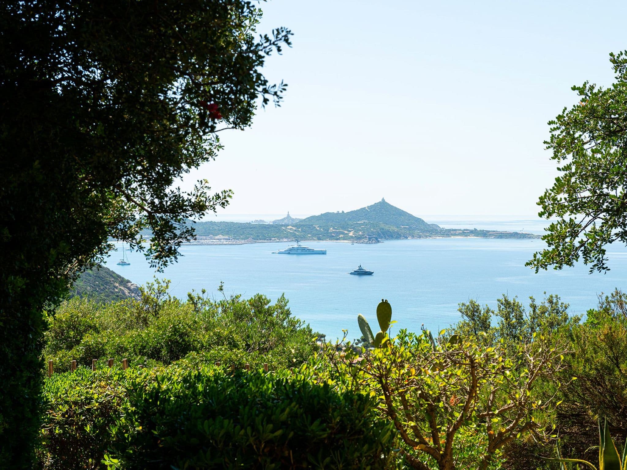 View
