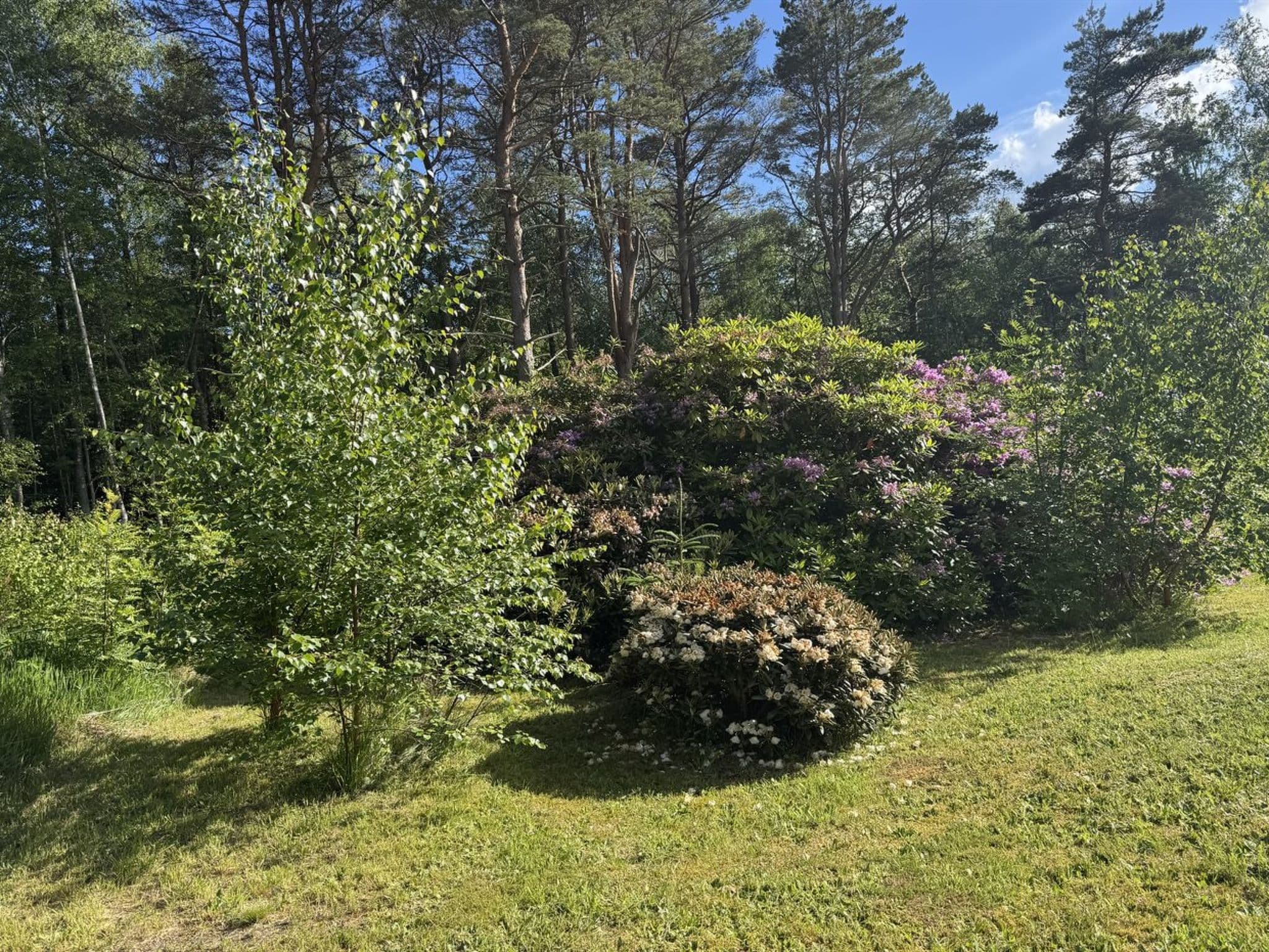 Place