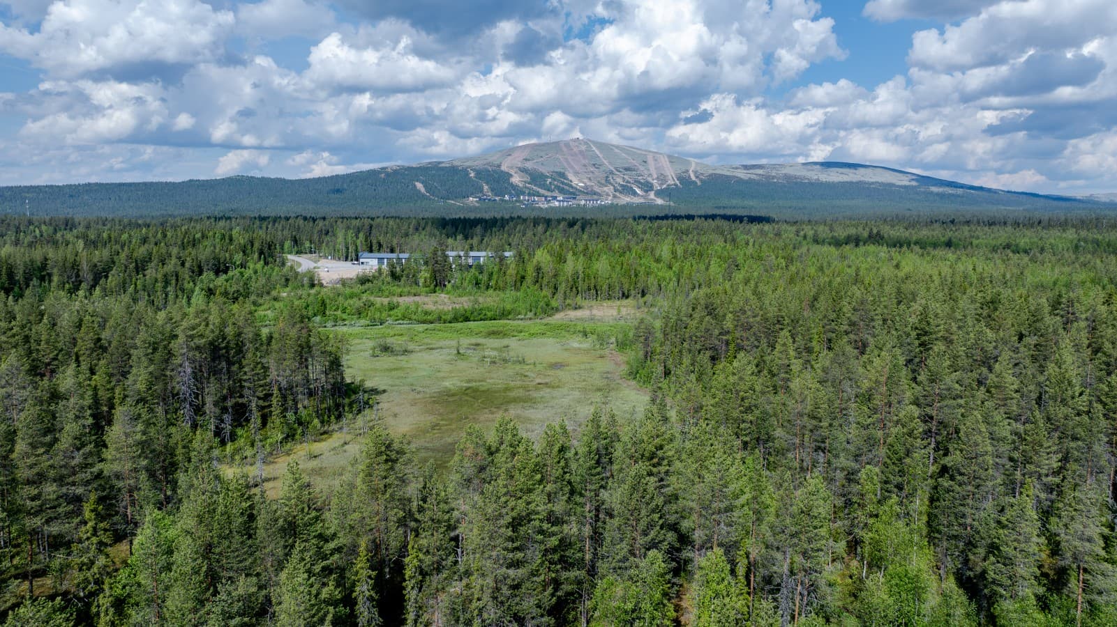 Pekankuja 9-53.jpg