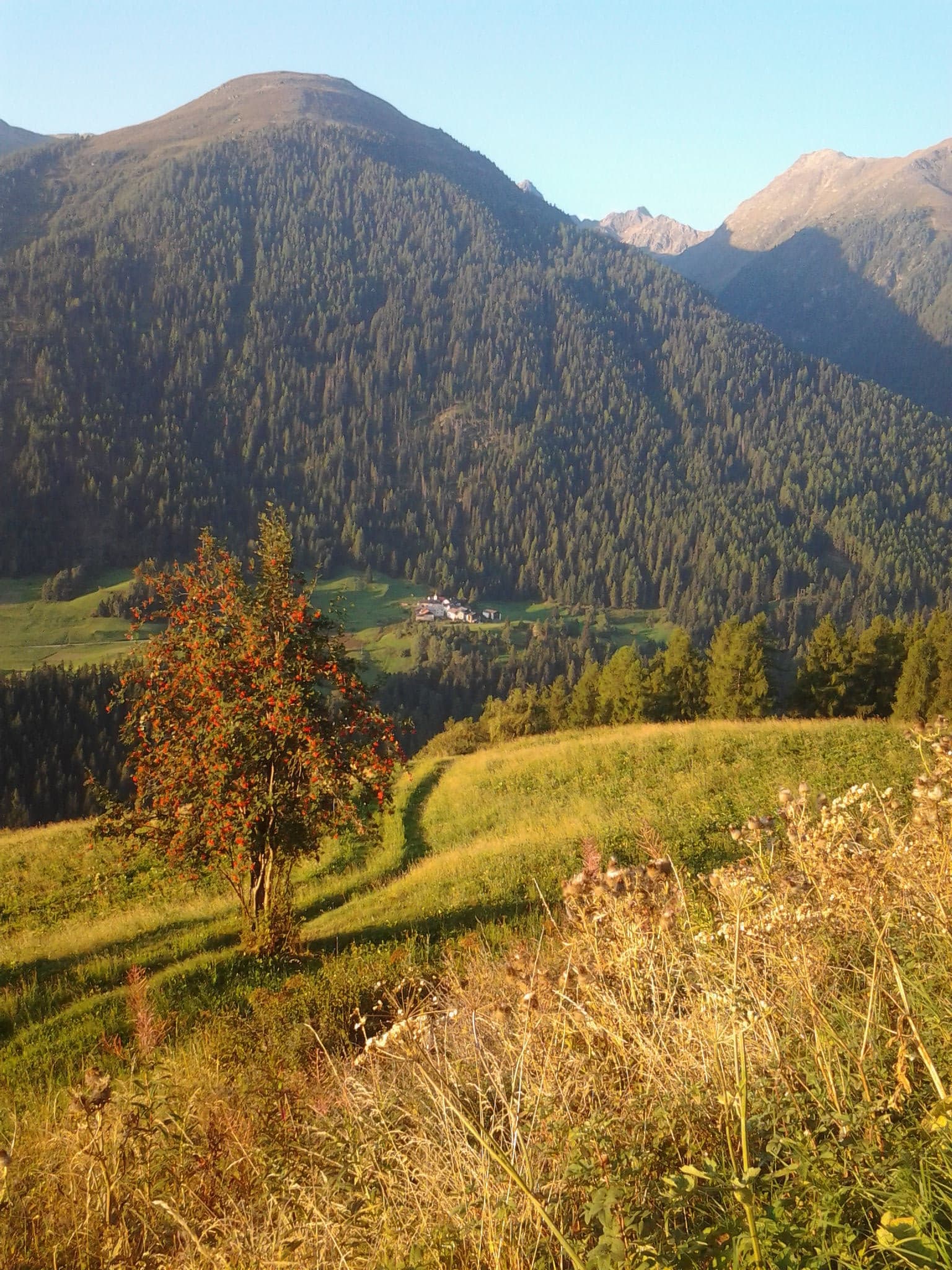 View