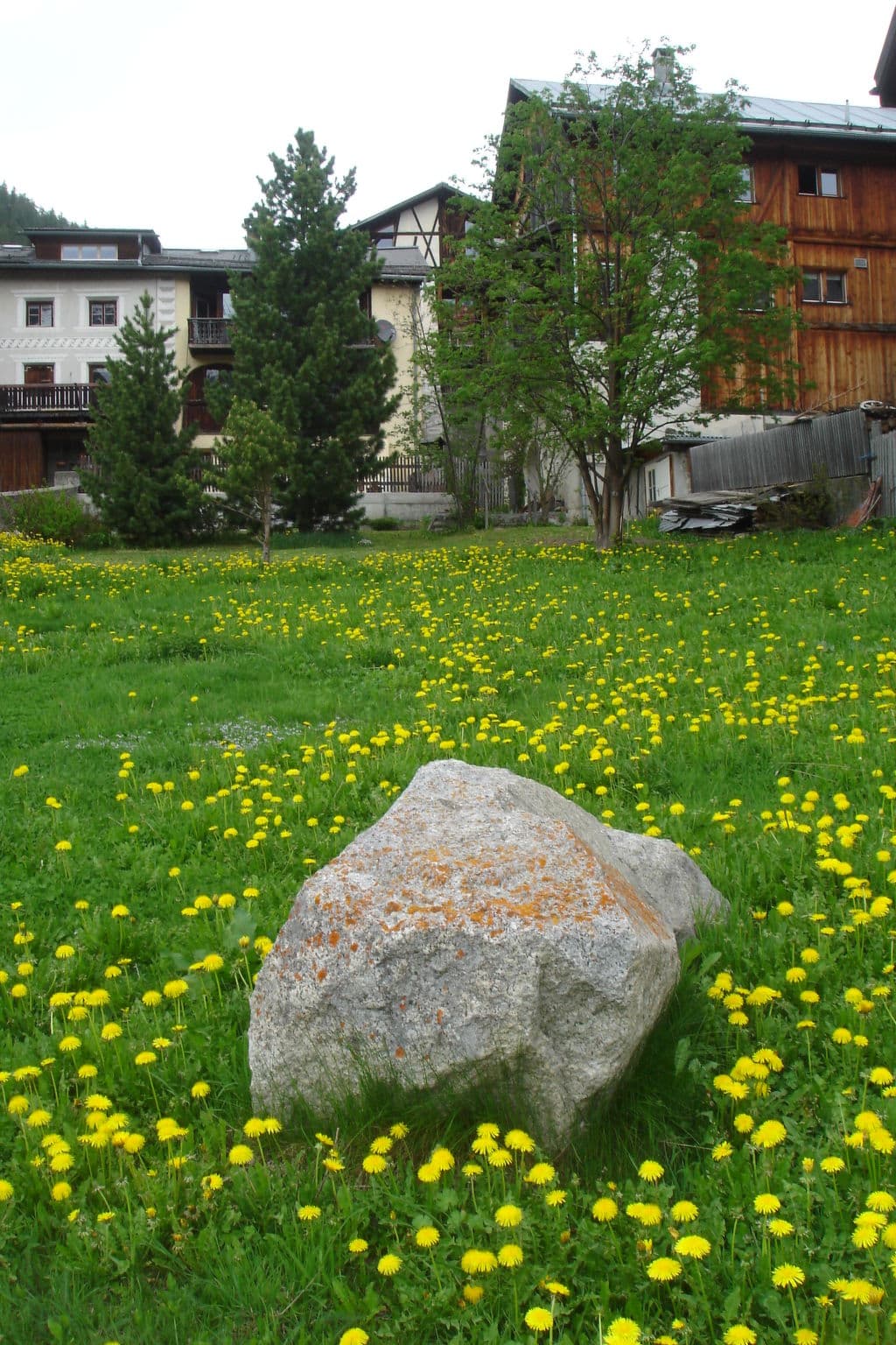 Outdoor