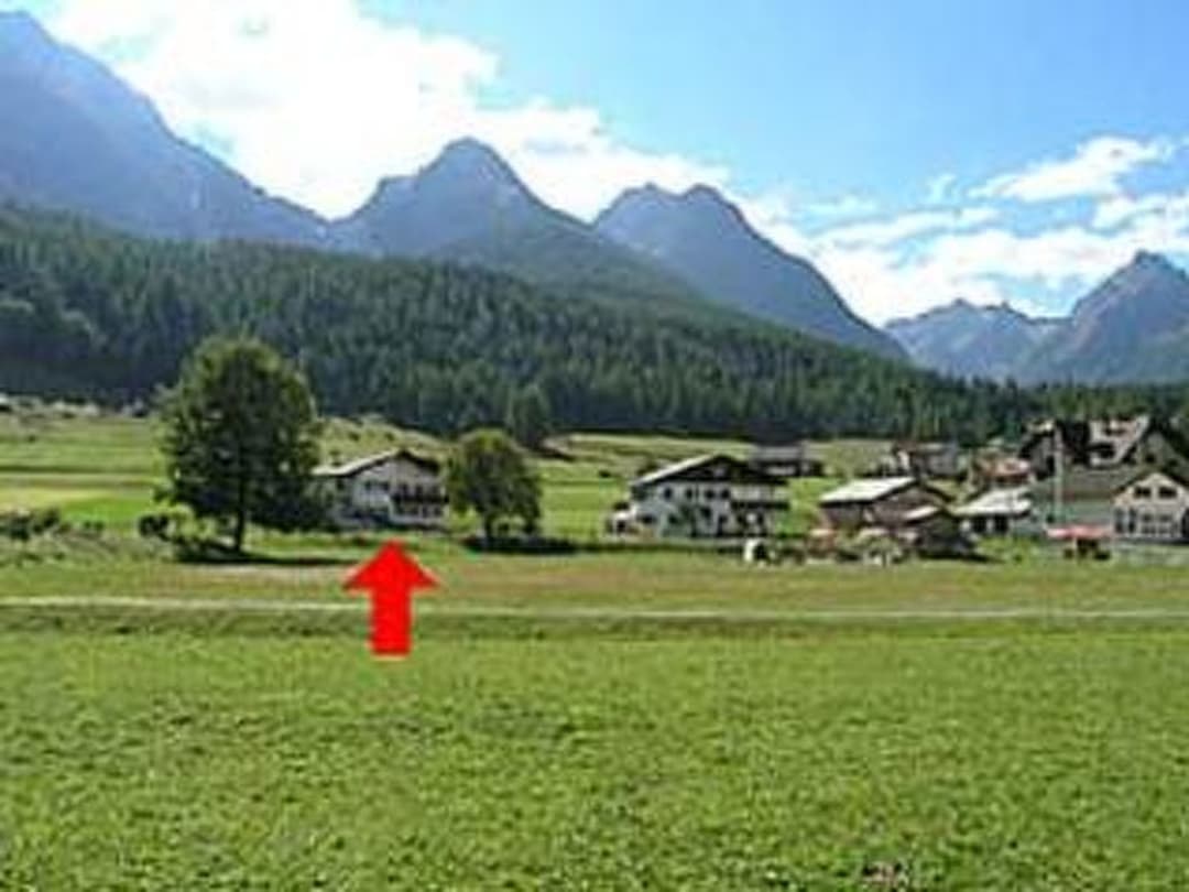 Large Image
