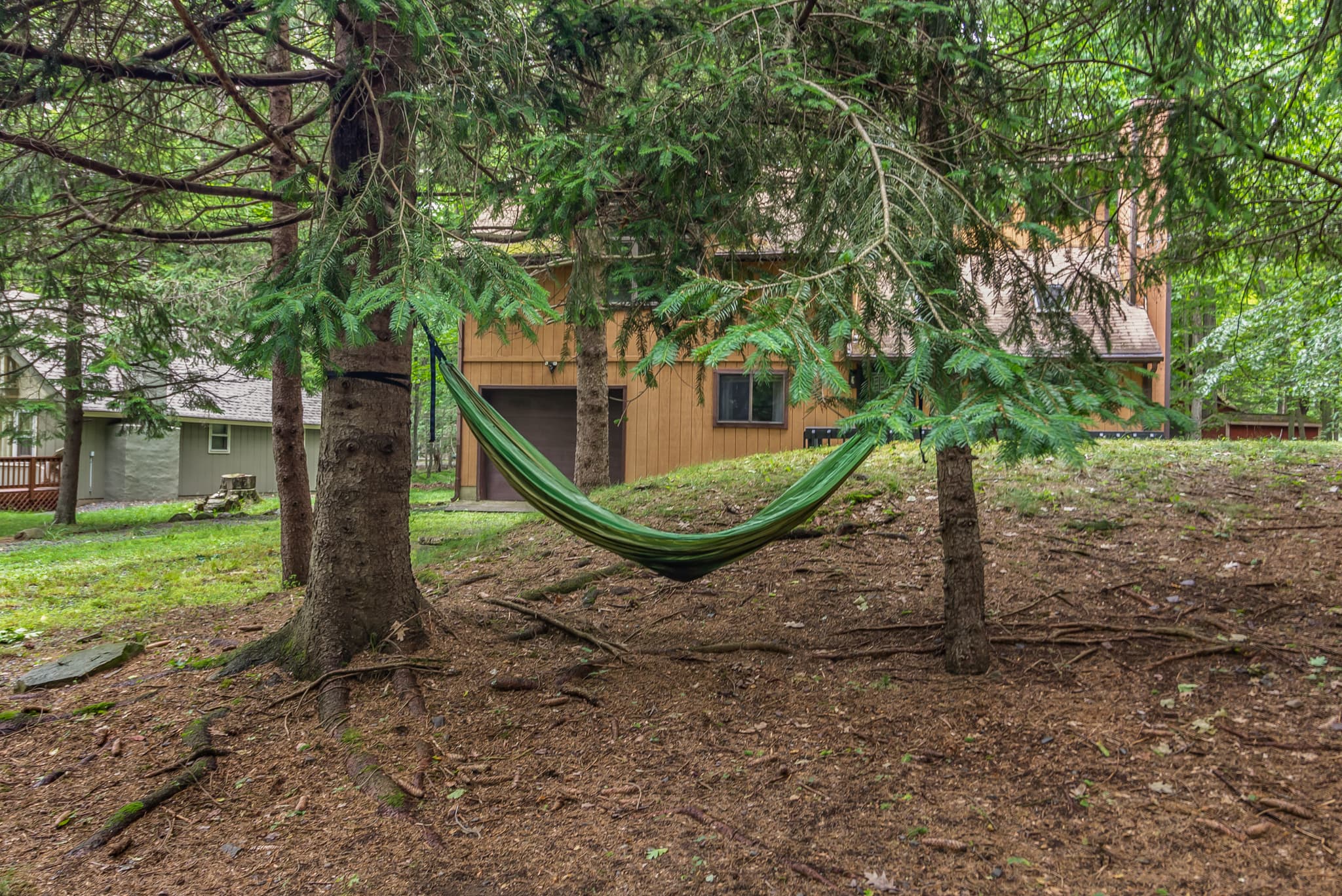 Hammock in front of the house