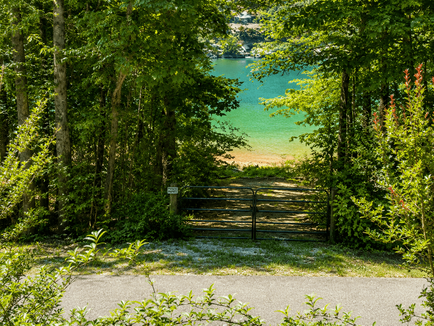 View of lake from house