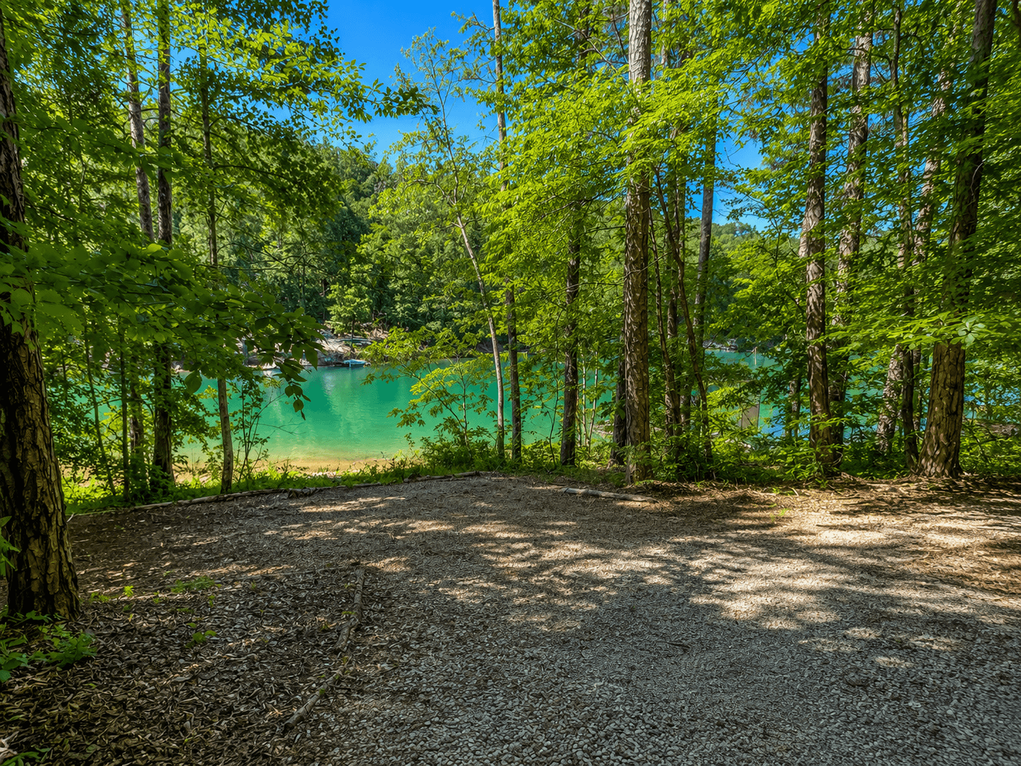 large cleared area by lake