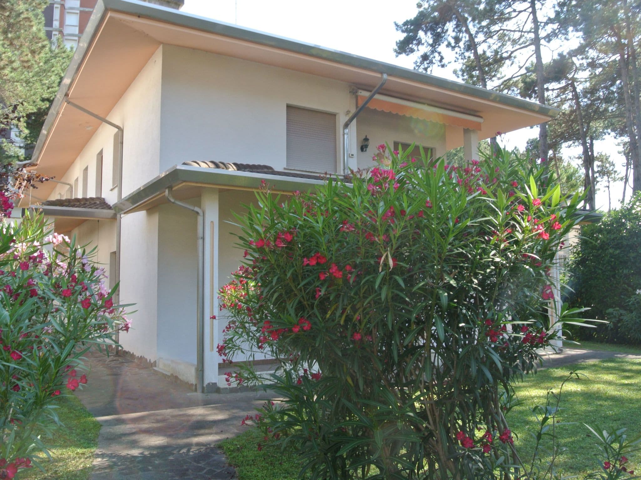 Gallery Image 9