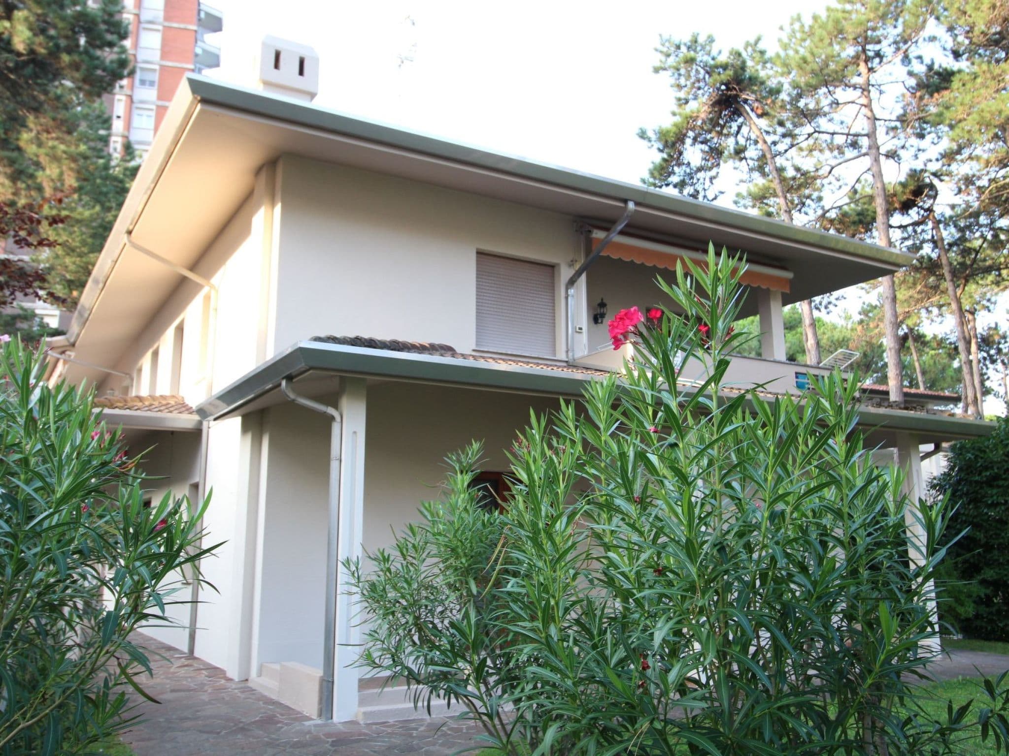Gallery Image 16