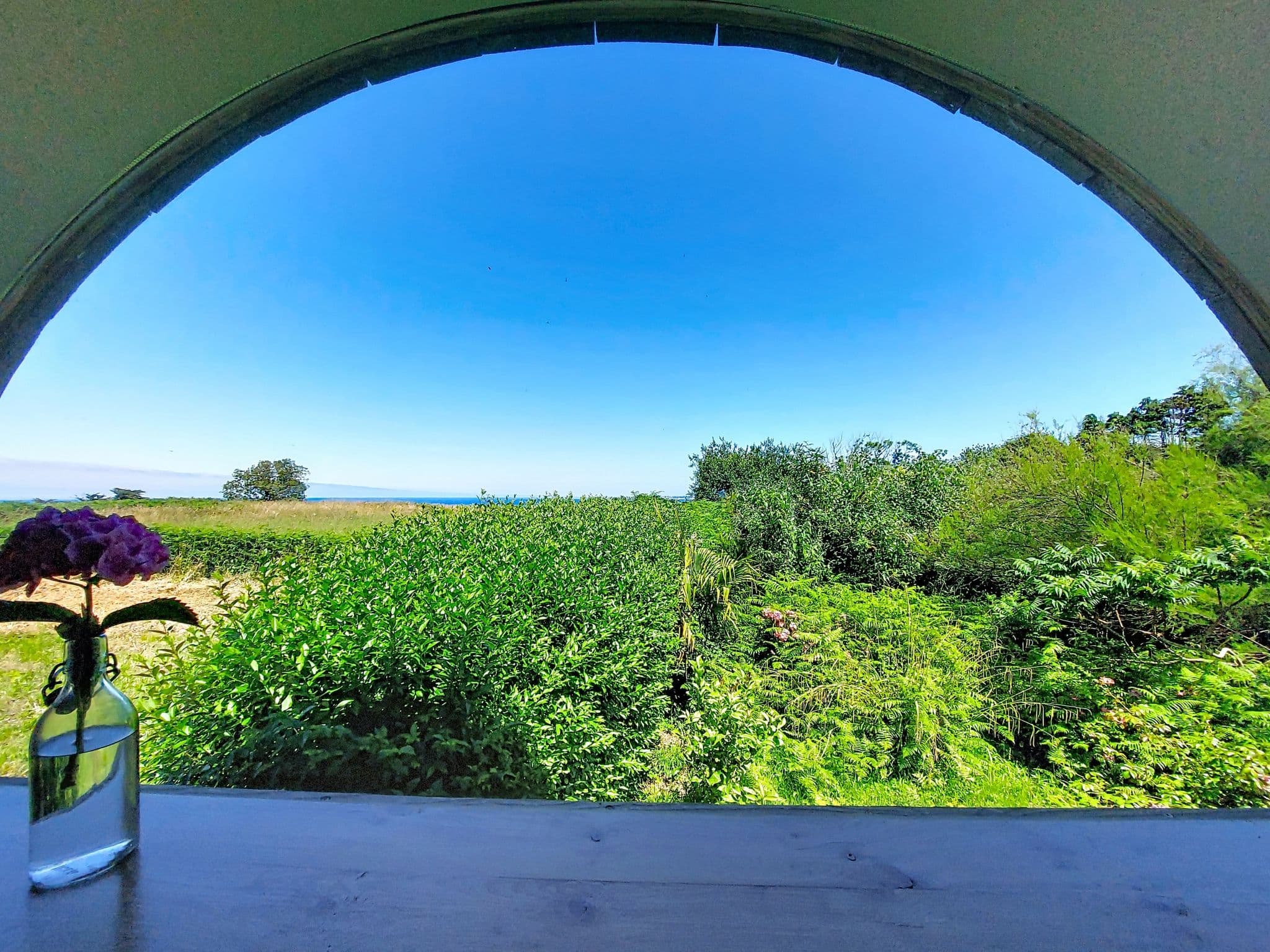 View