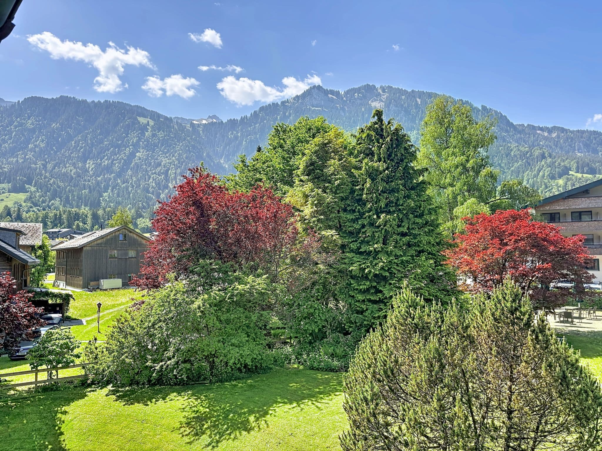 View