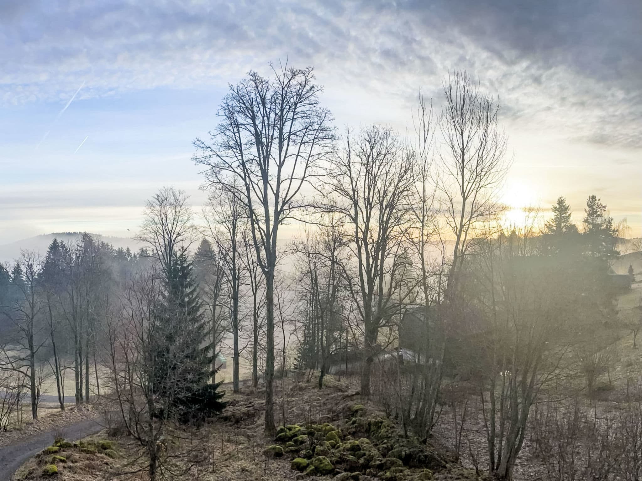 View