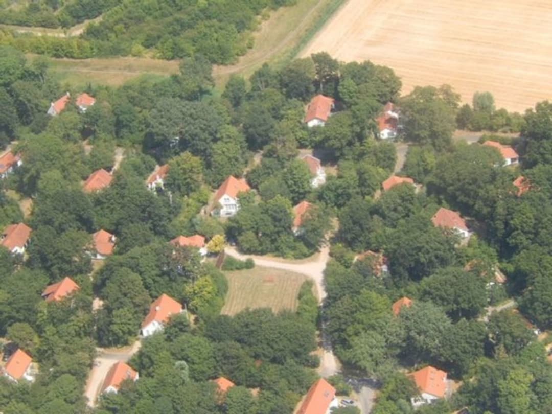 Large Image