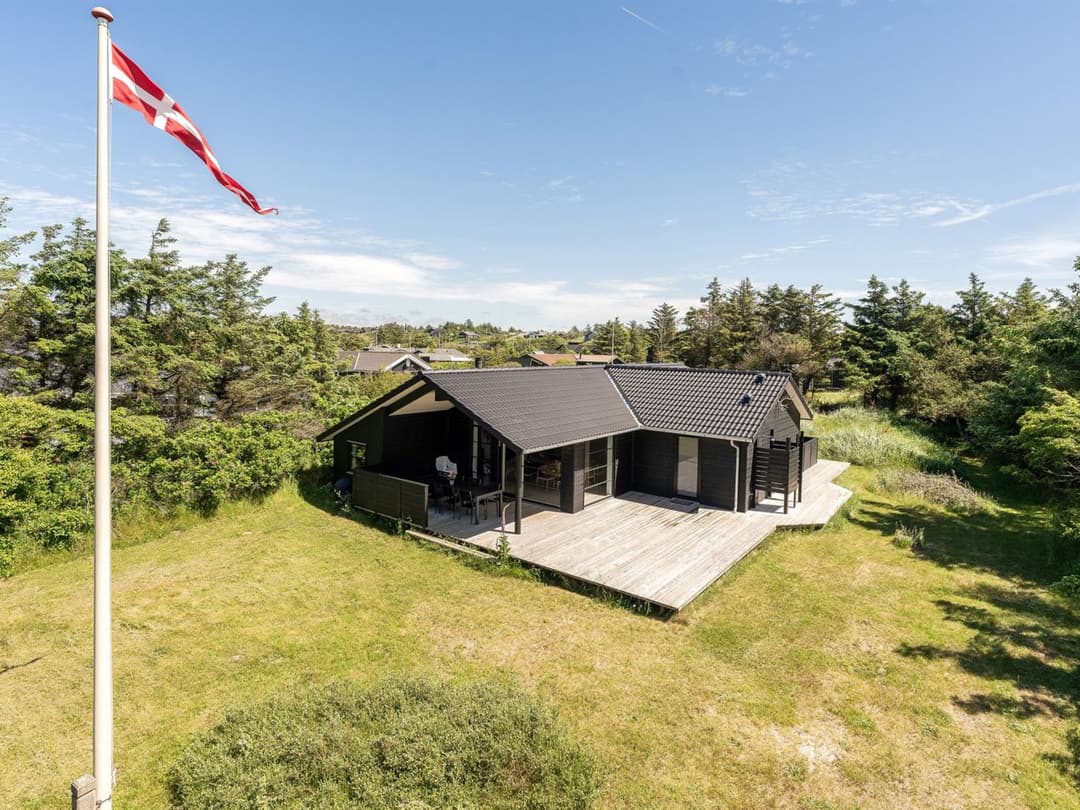 Large Image