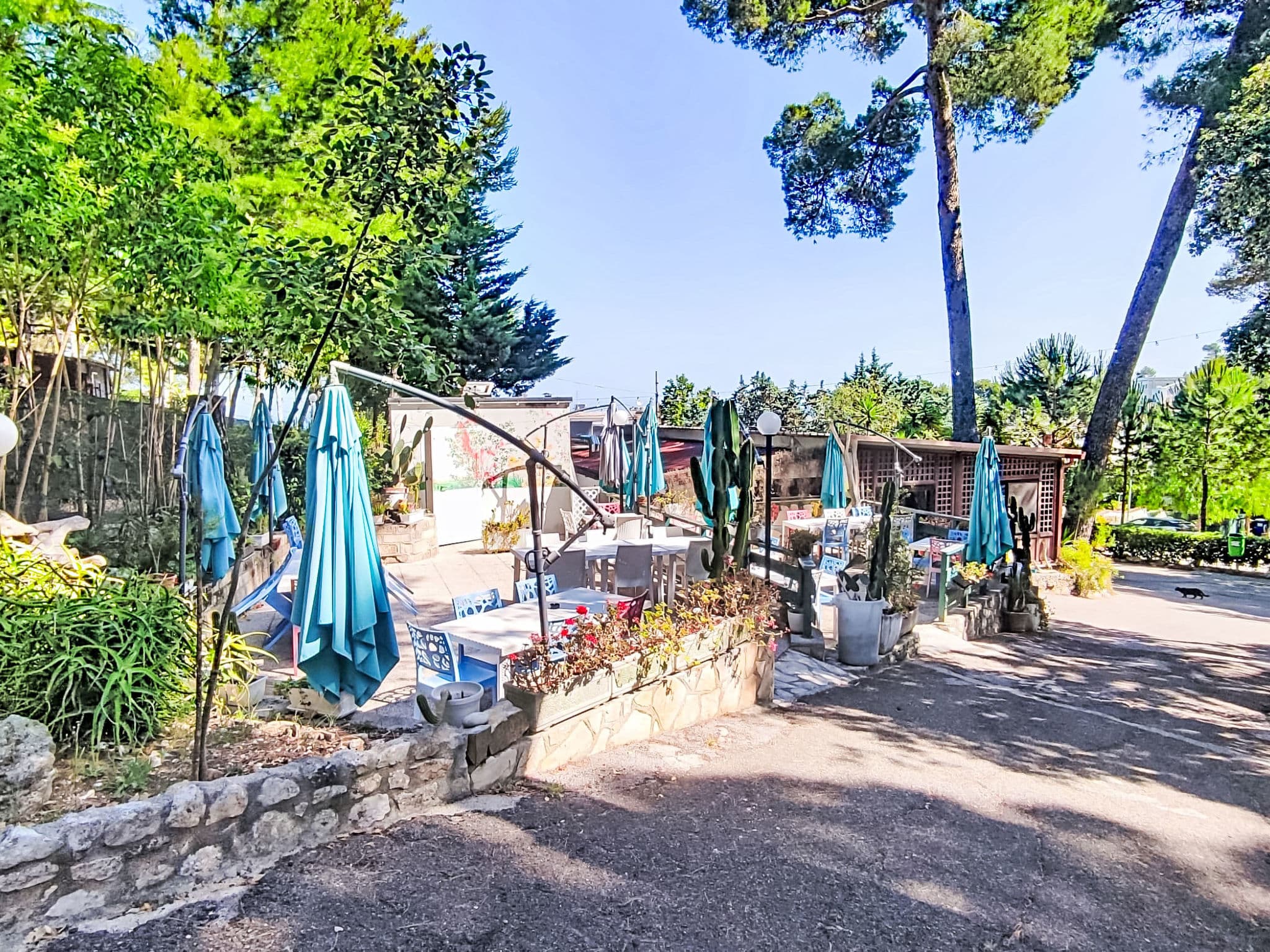 Terrace