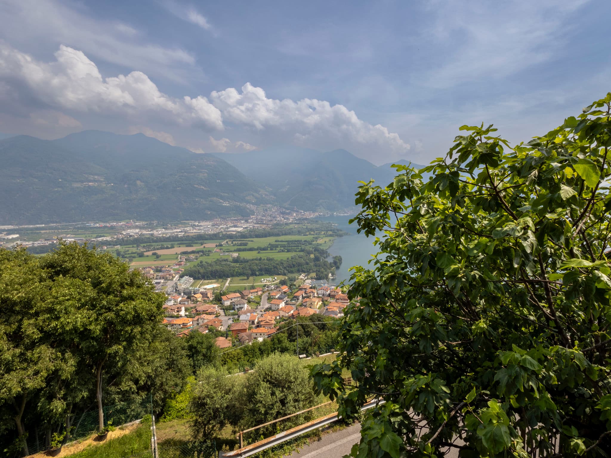 View