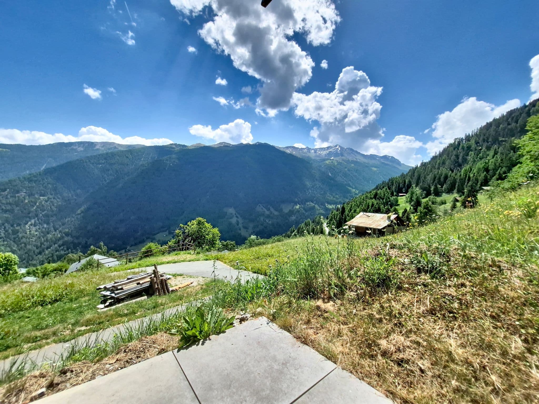 View