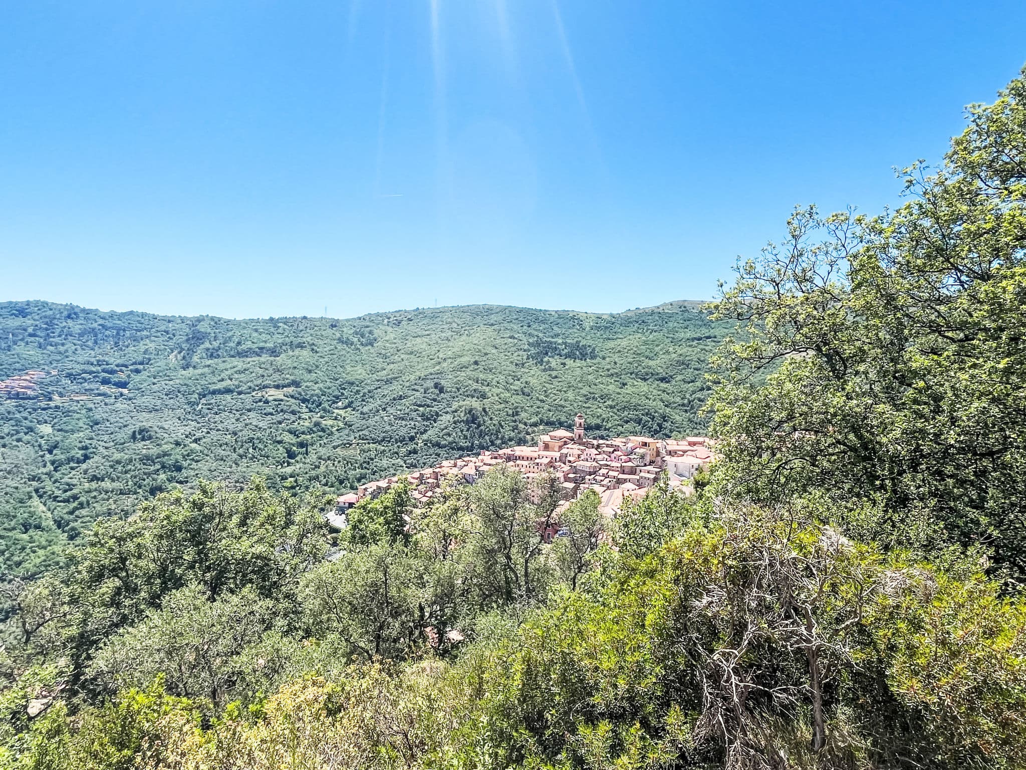 View