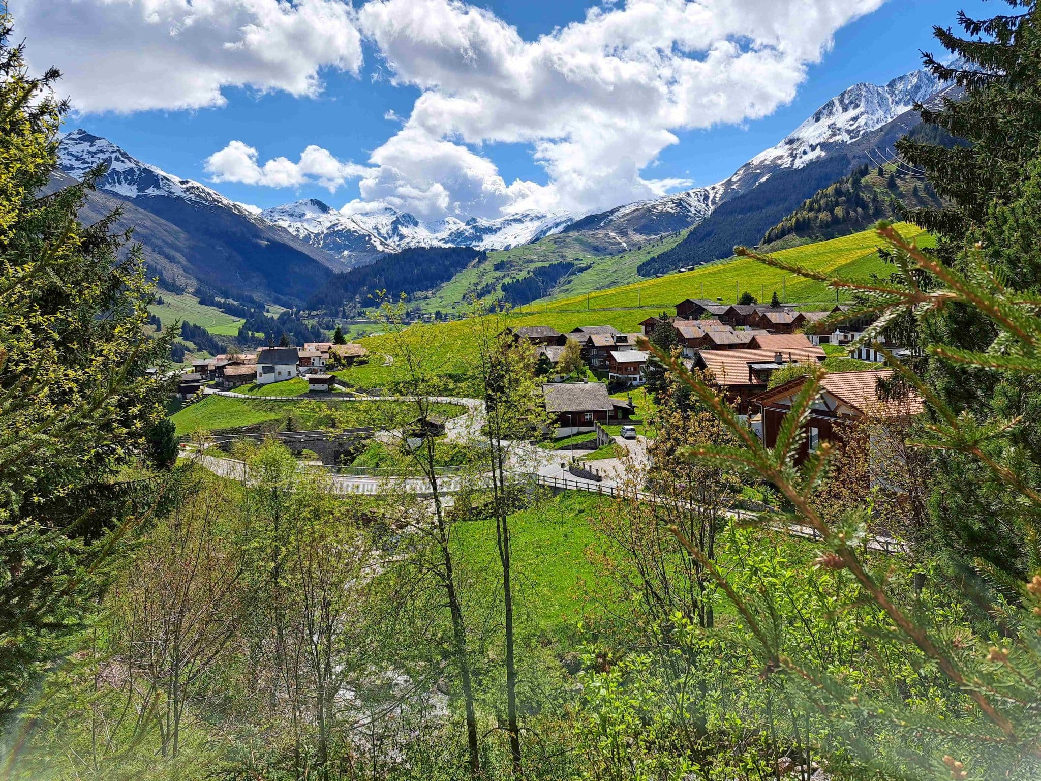 View