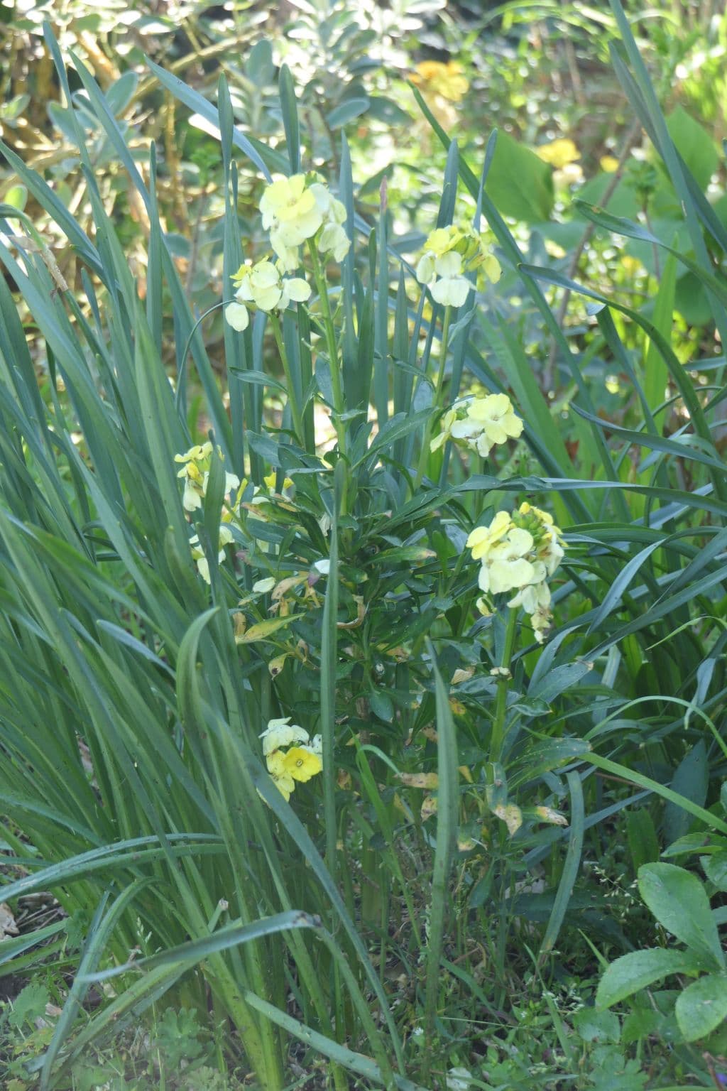 Gallery Image 36