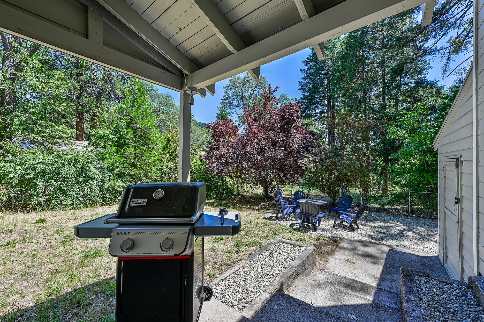 Gas BBQ