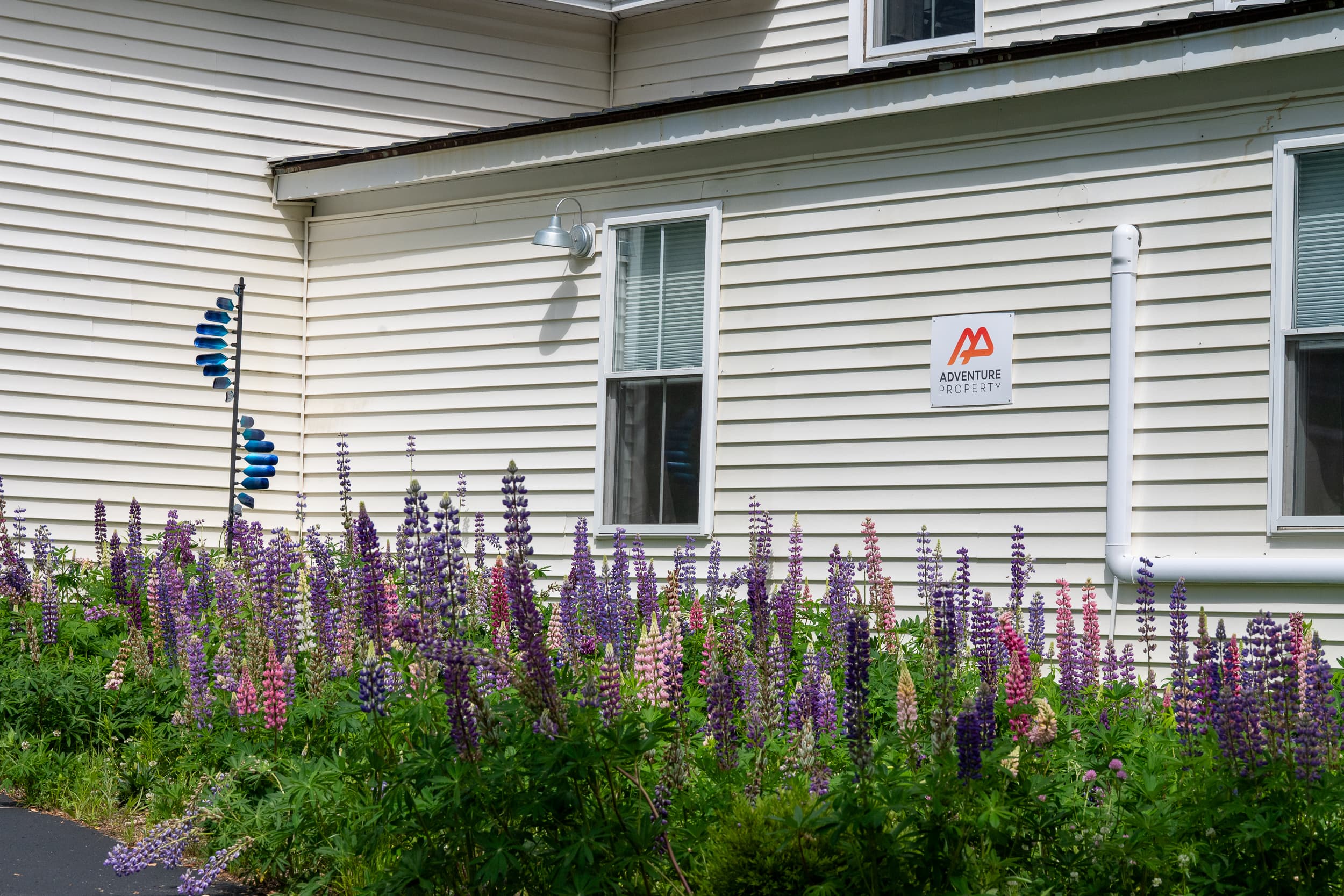 Pollinator pathways around most of the yard.