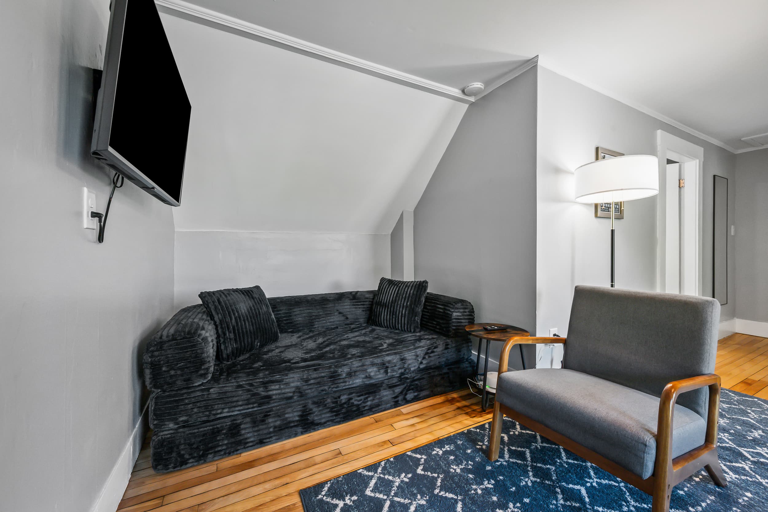 A queen size sleeper sofa and smart tv.