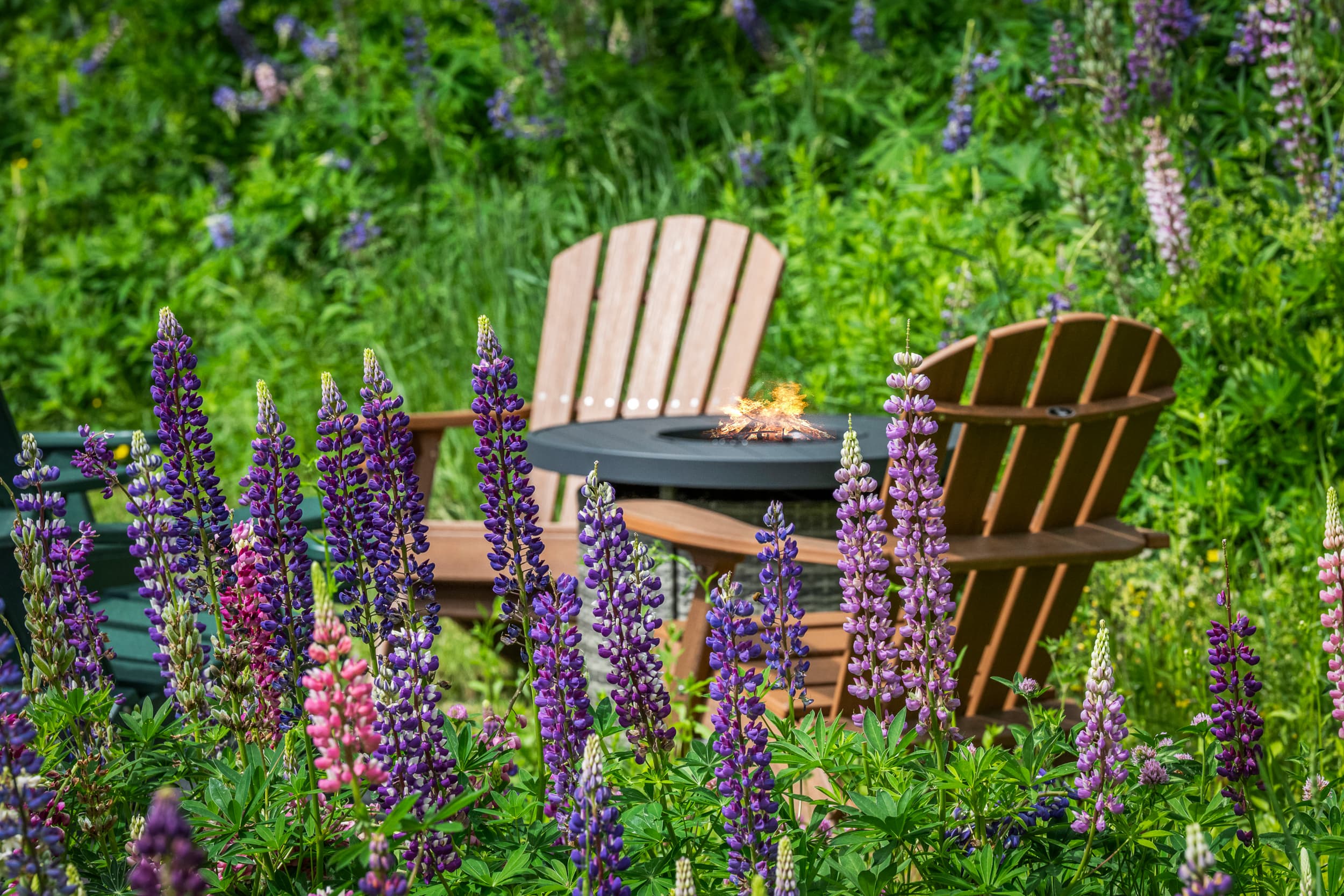 A firepit and blooms for a perfect summer.
