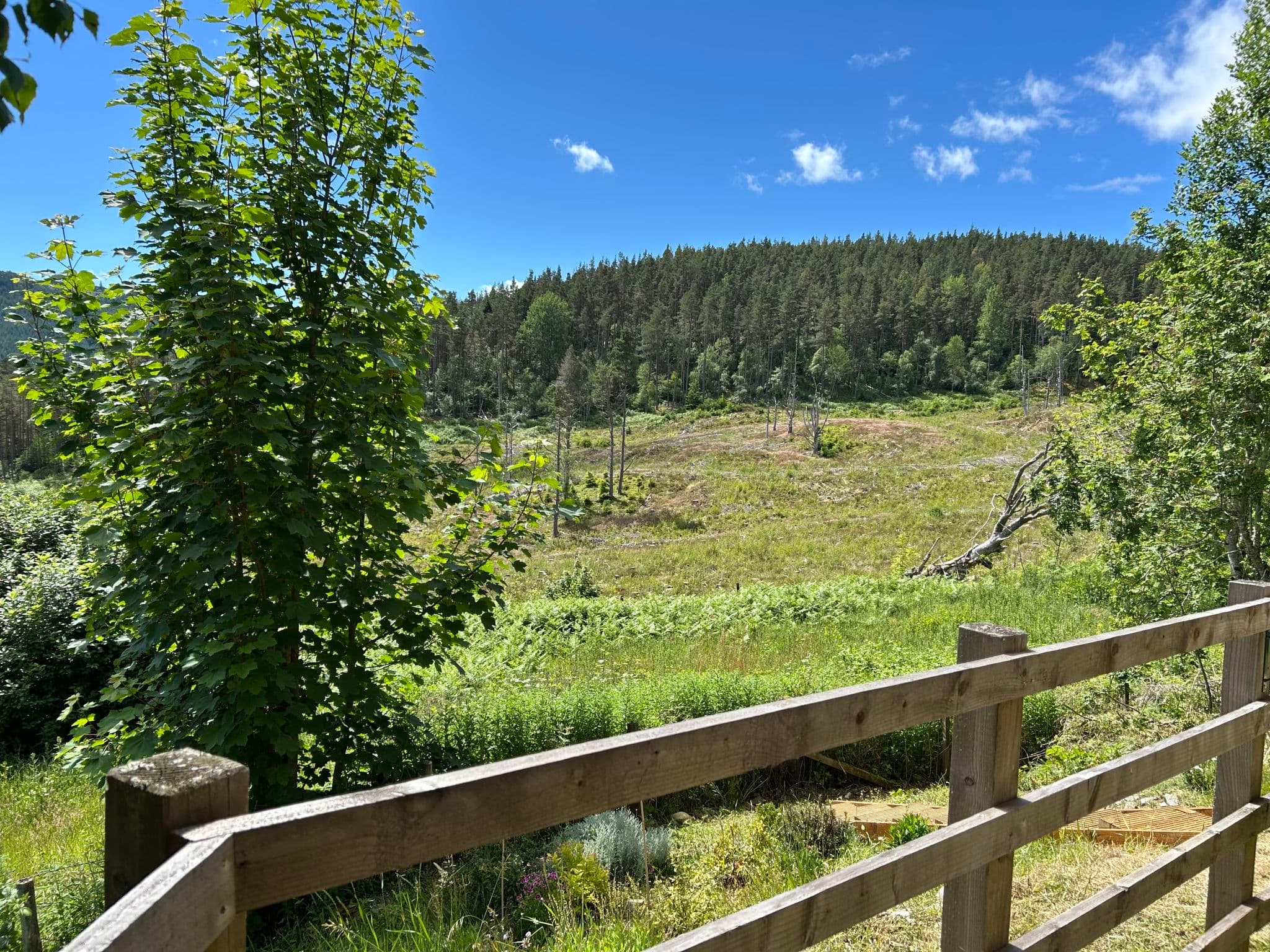 View