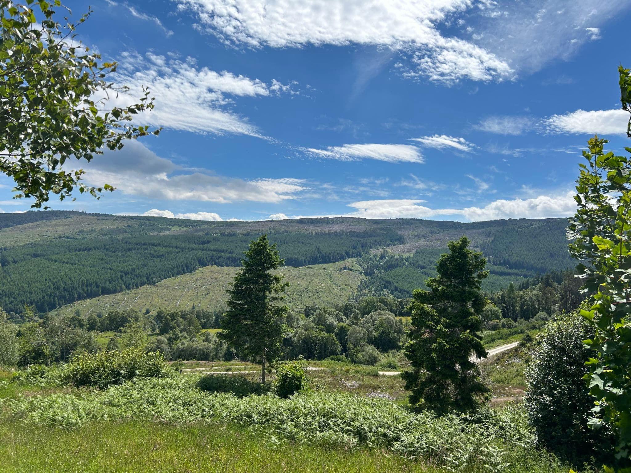 View