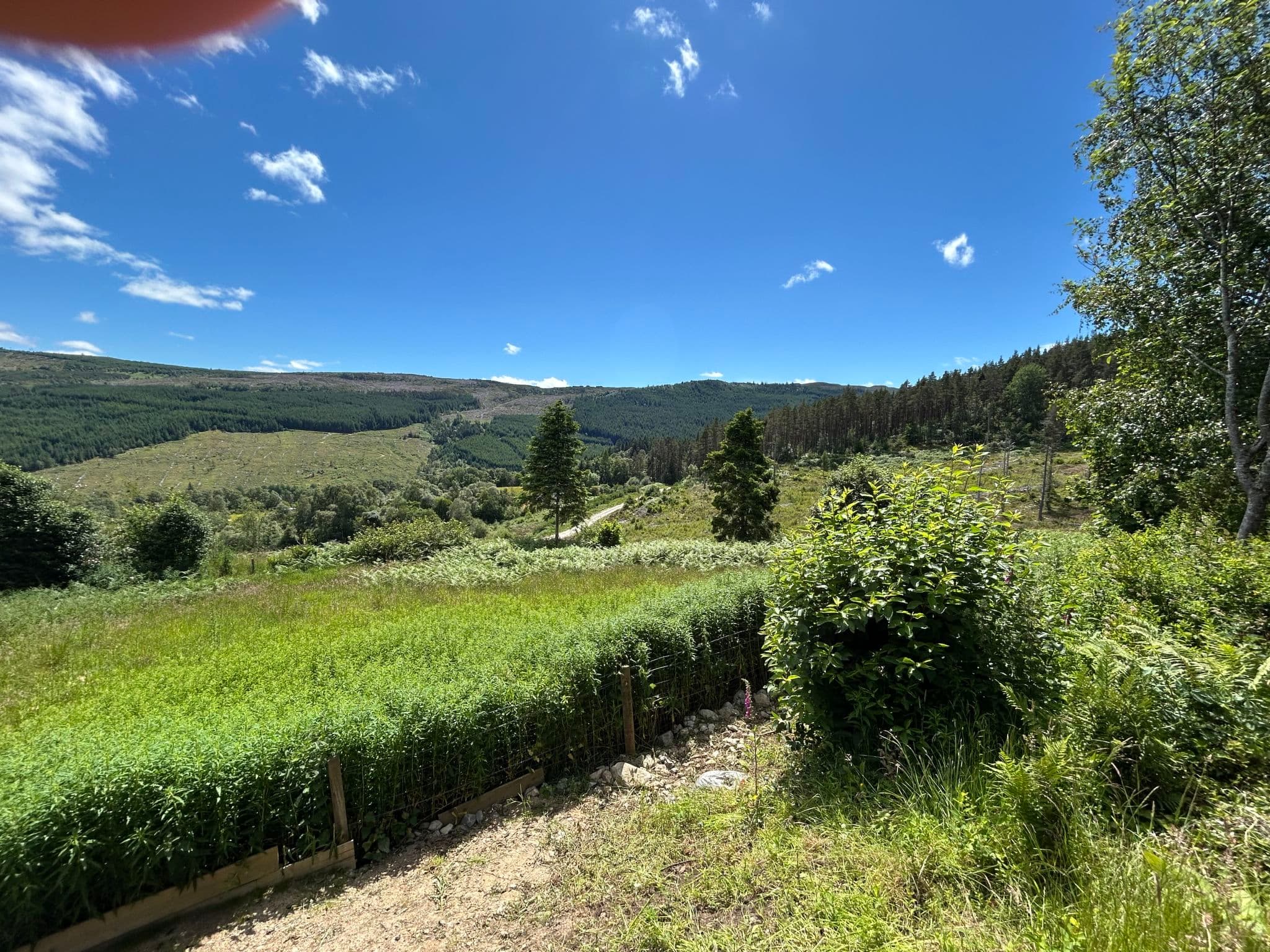 View