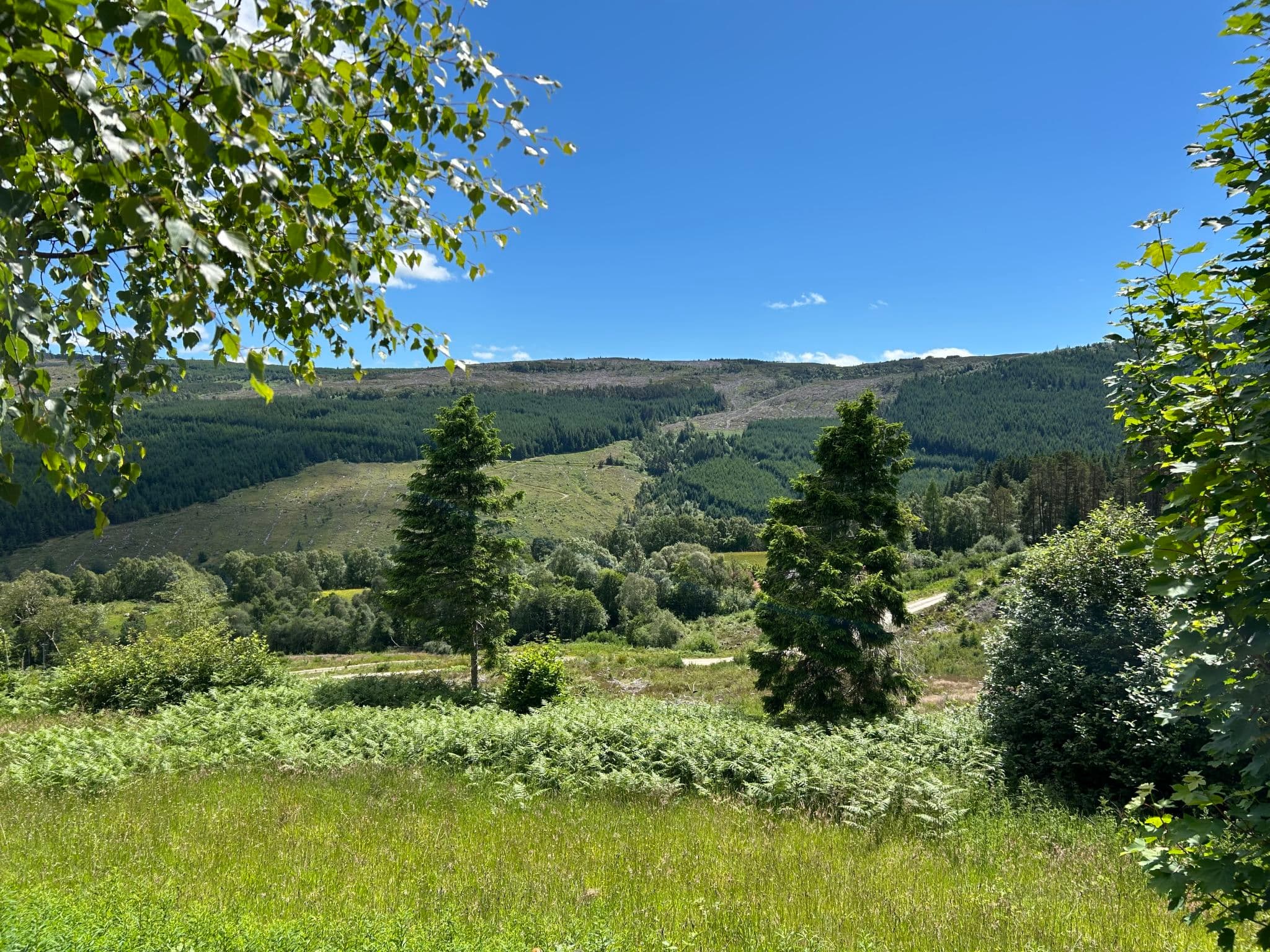View
