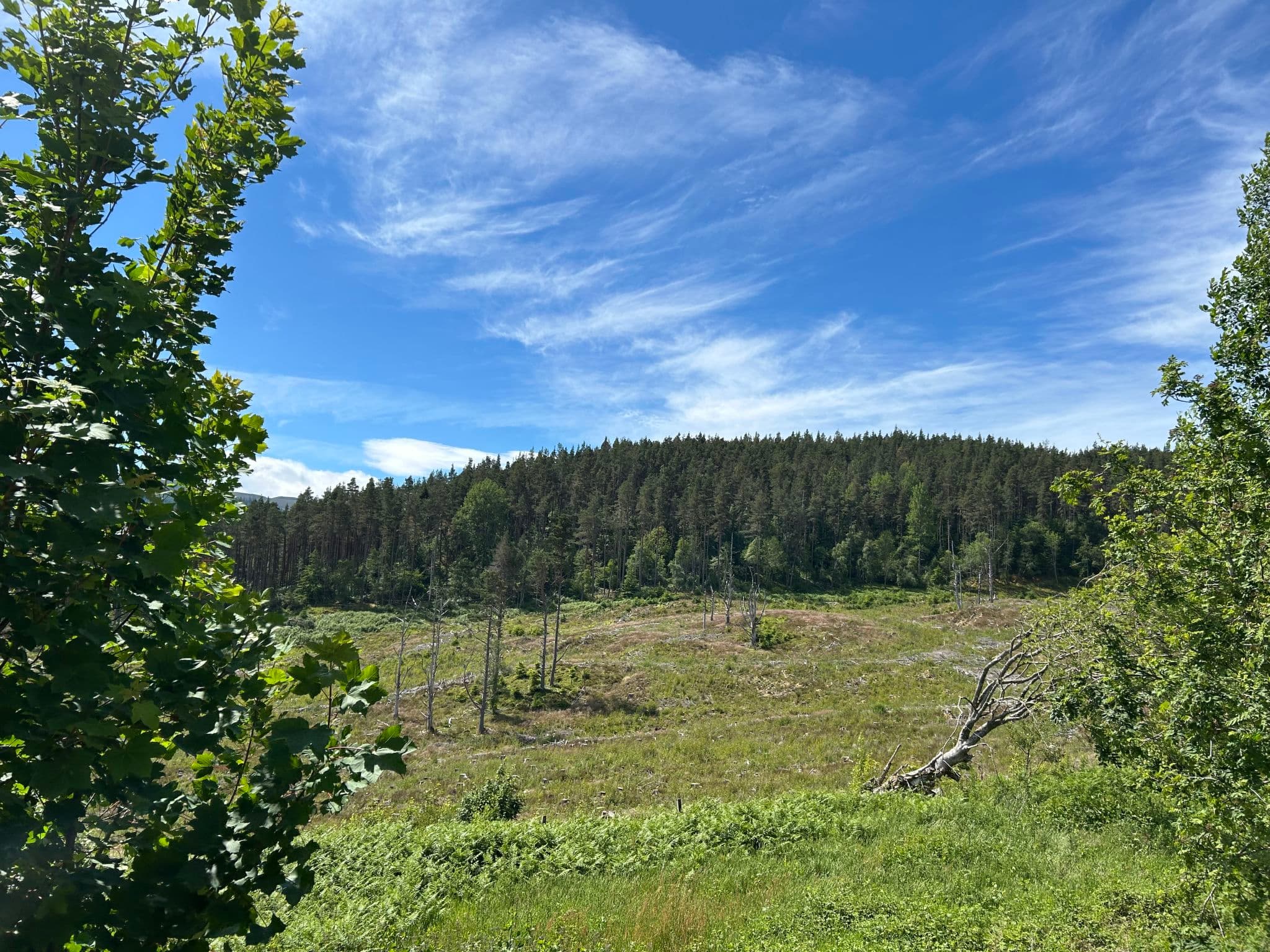 View