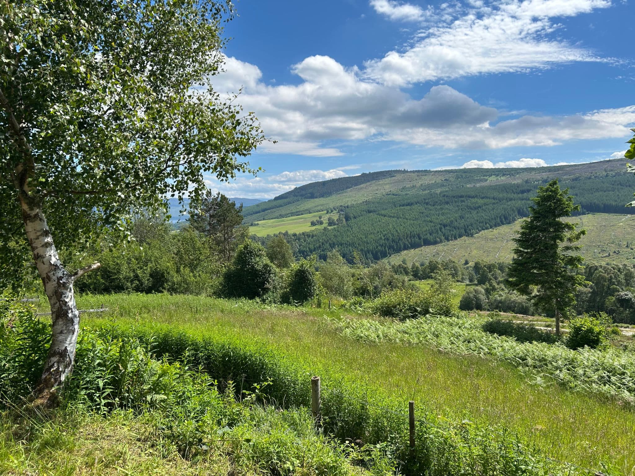 View