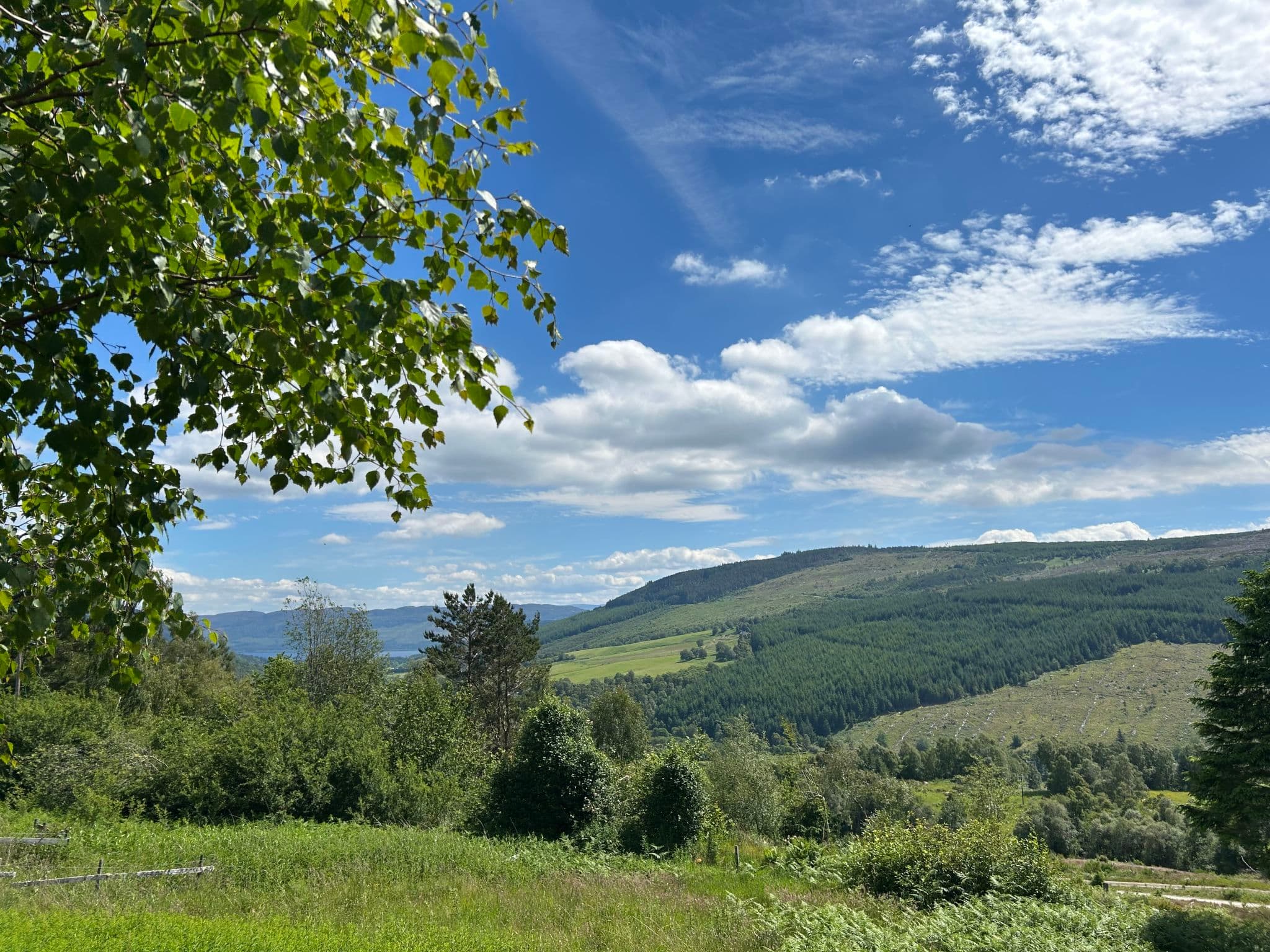 View
