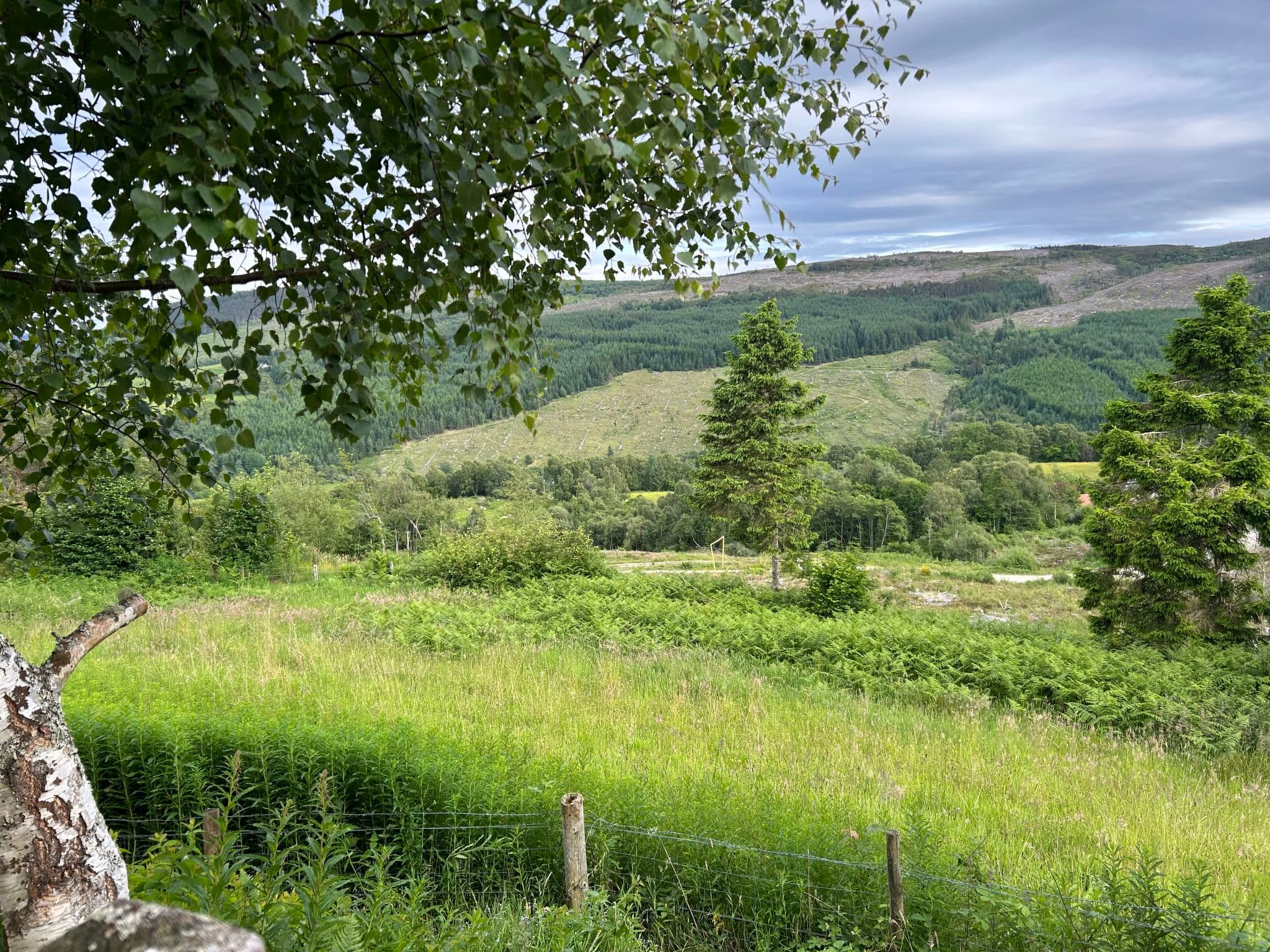 View