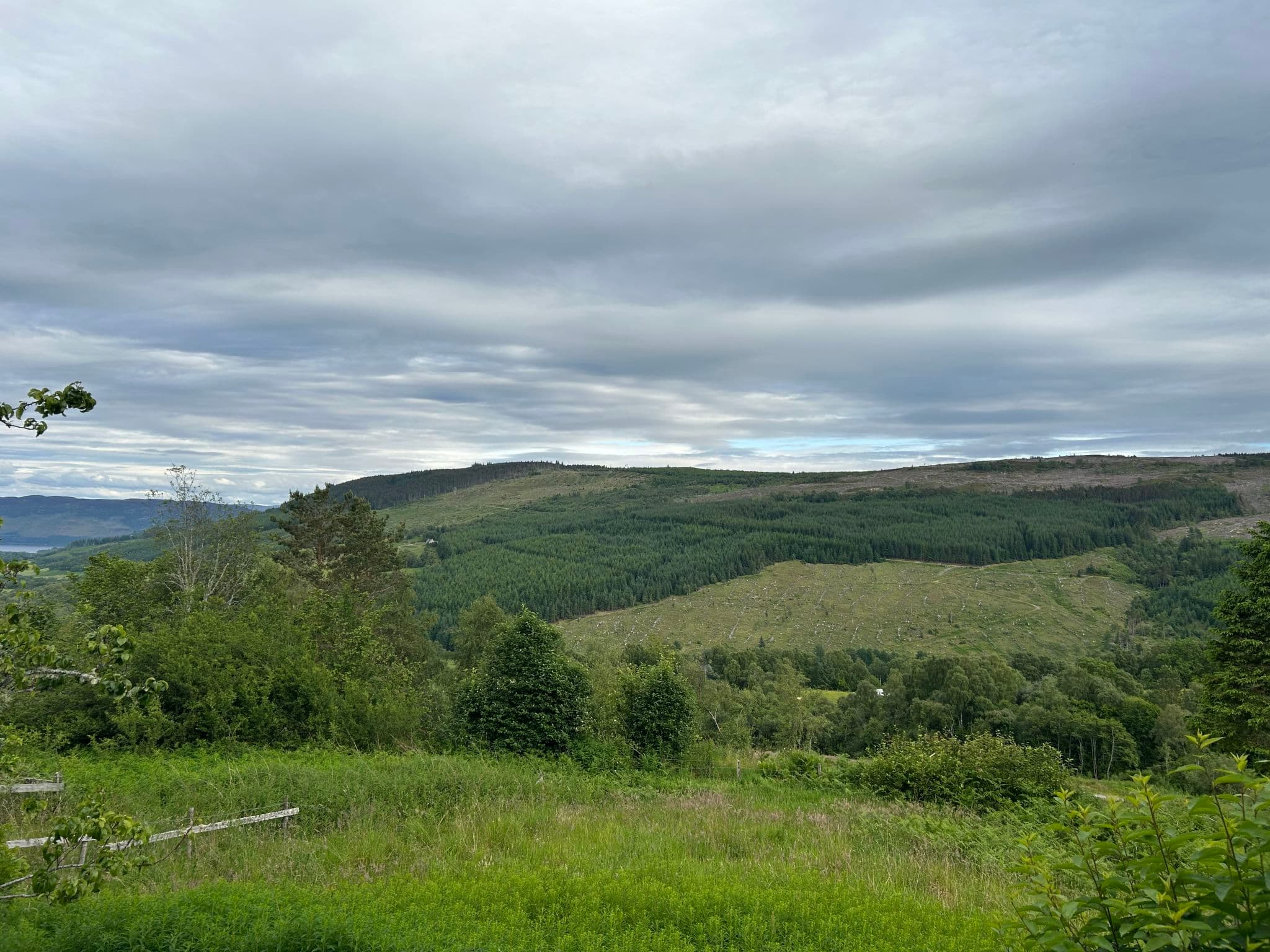 View