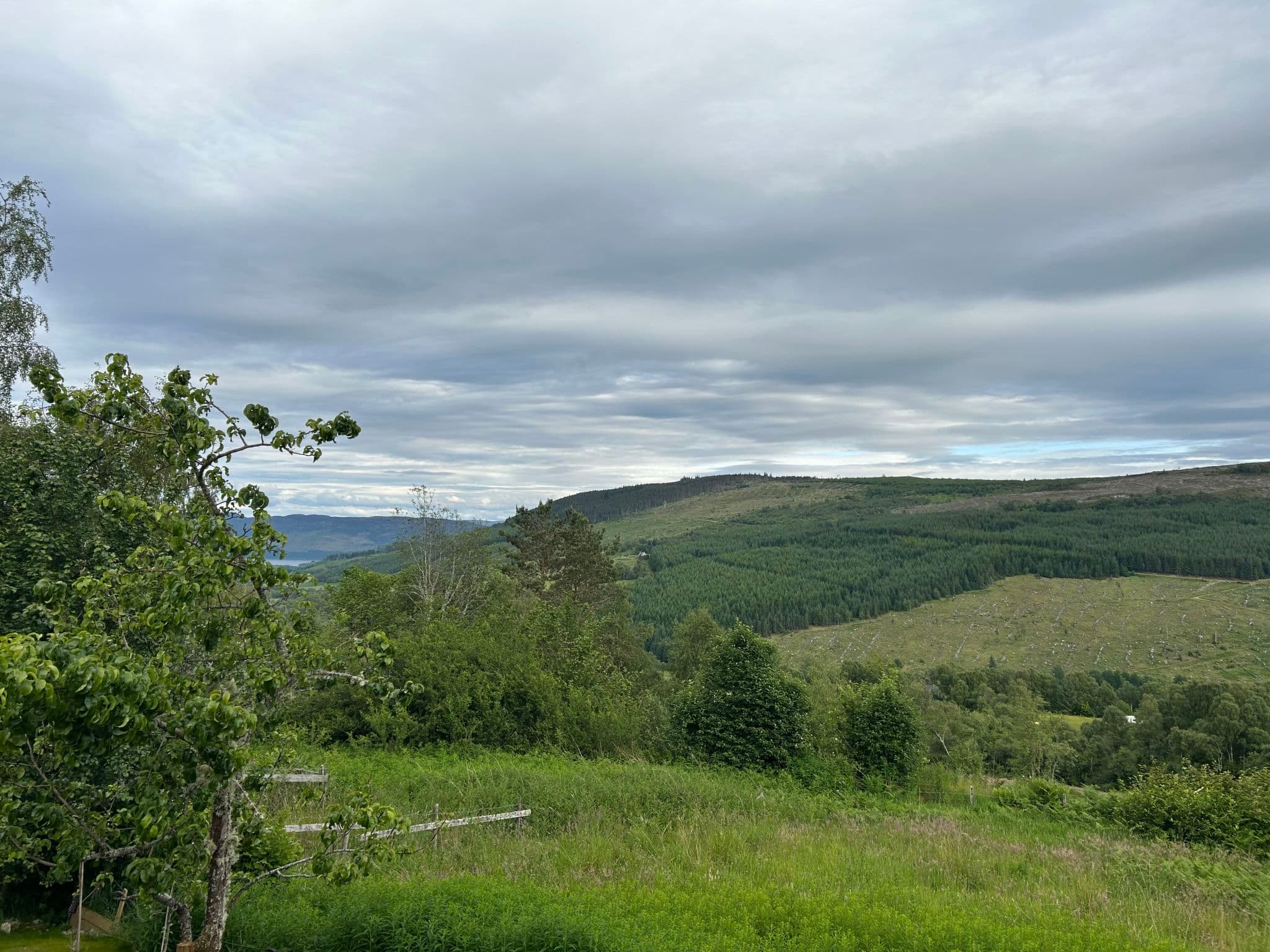 View