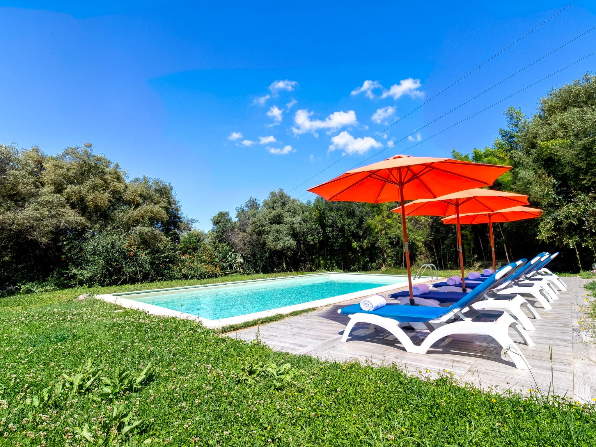Pool Outdoor