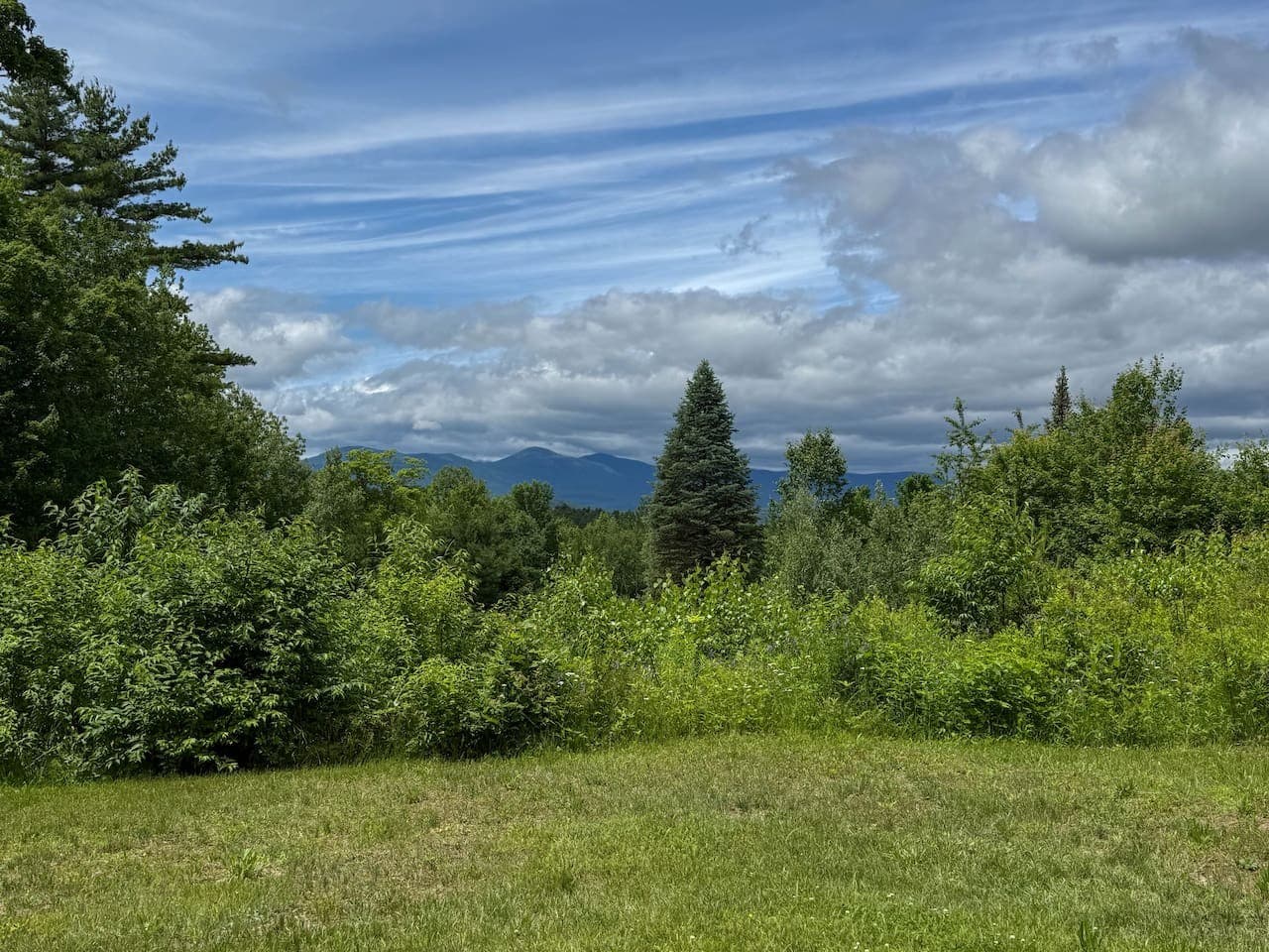 Gallery Image 66