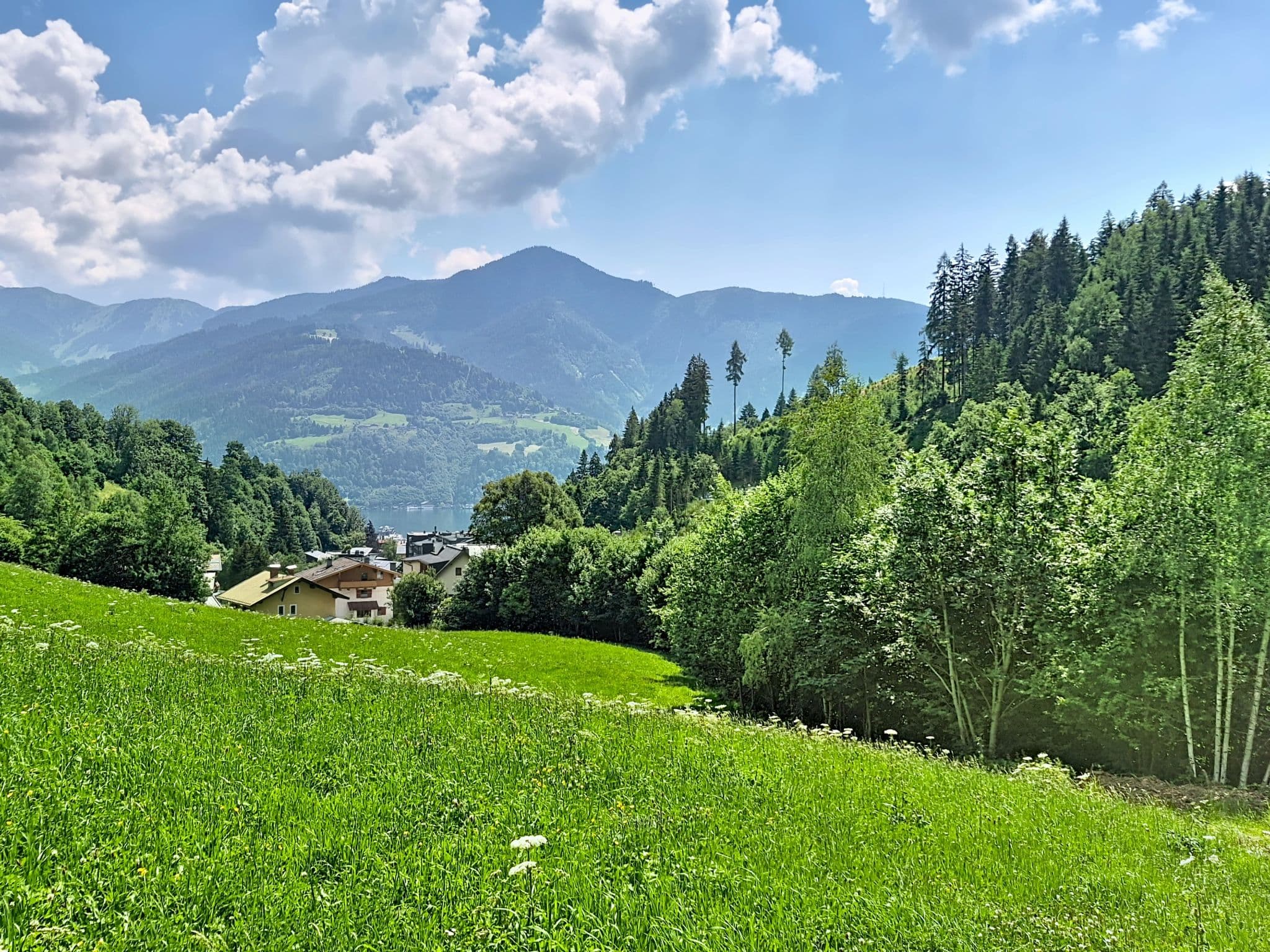 View