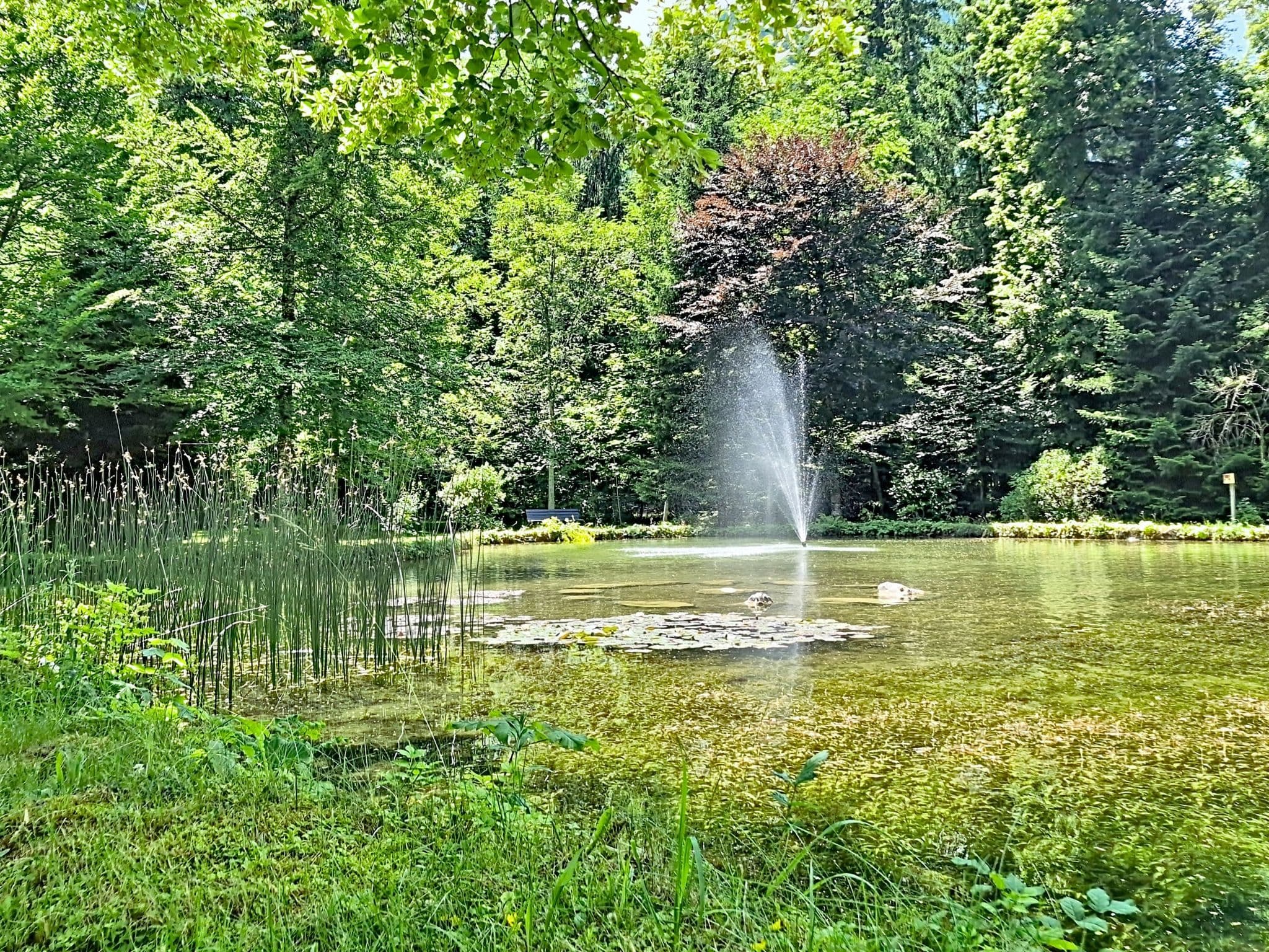 Outdoor