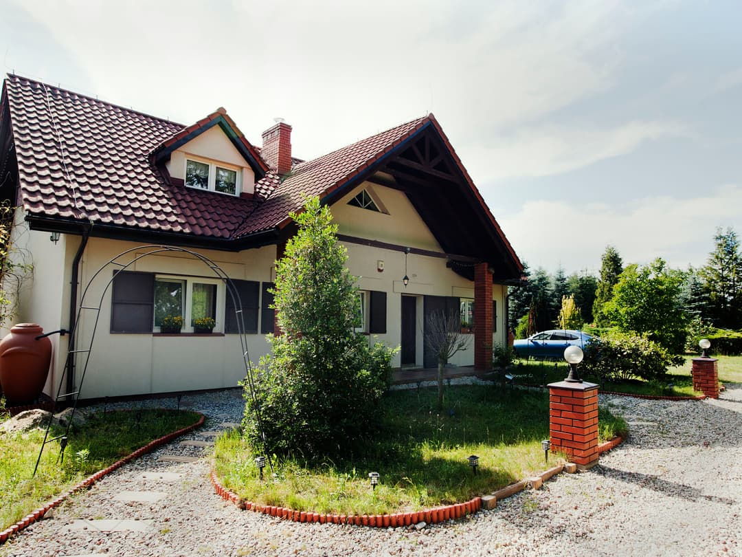 Large Image