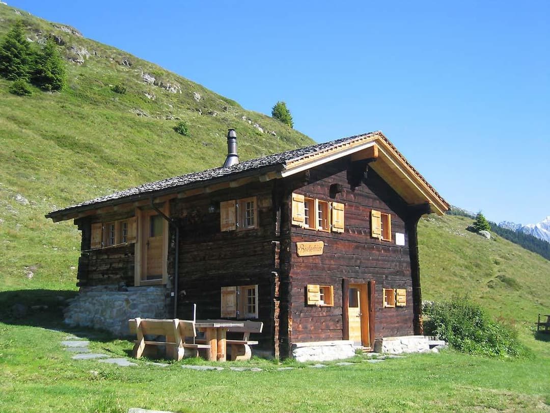 Large Image
