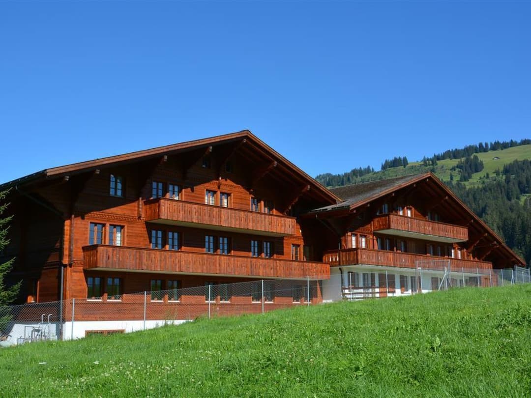 Large Image