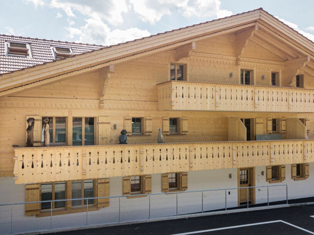 Large Image
