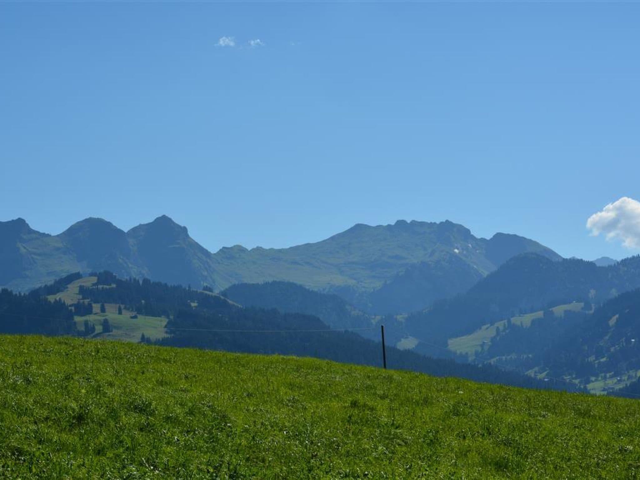 View