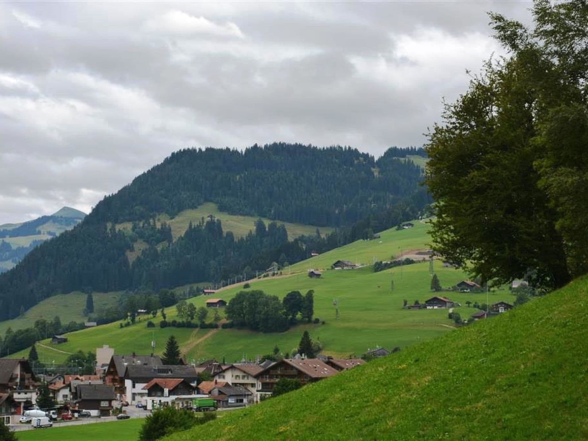 View