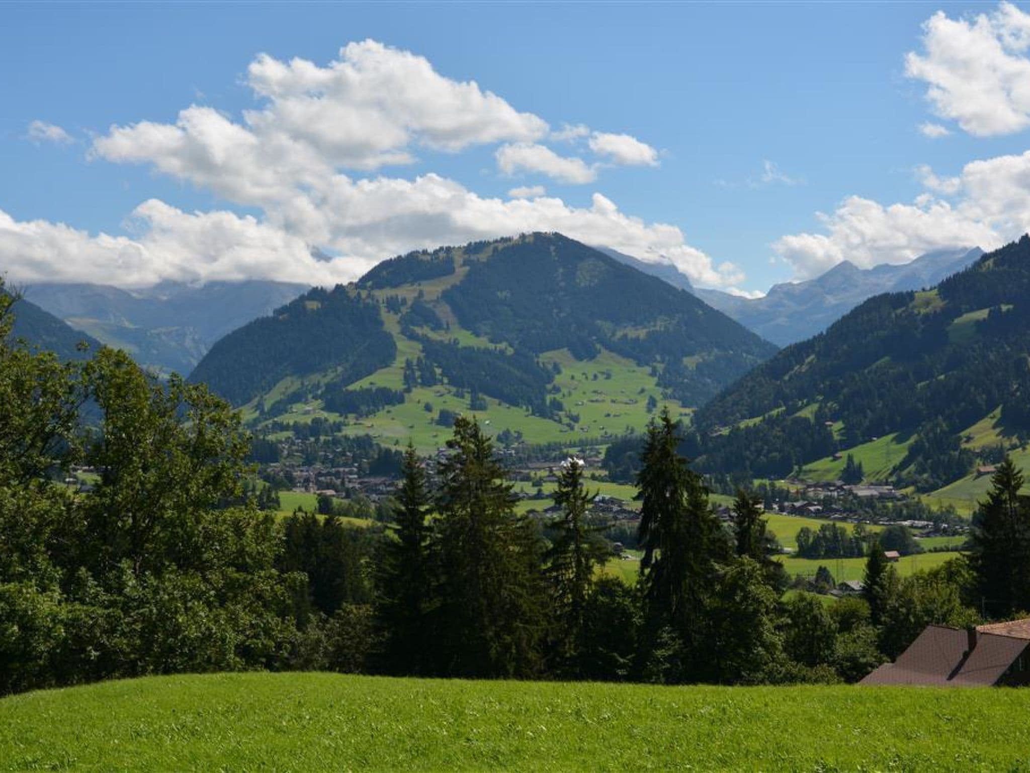 View
