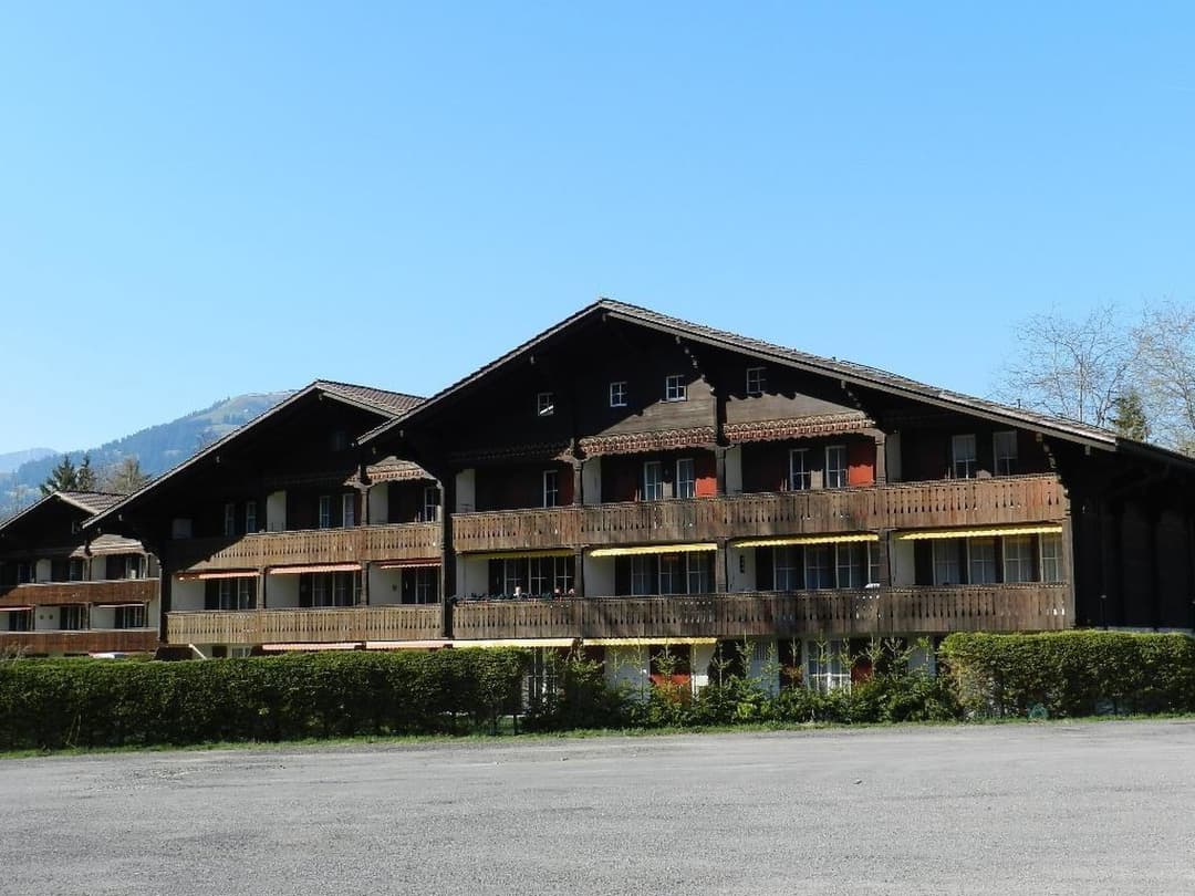 Large Image